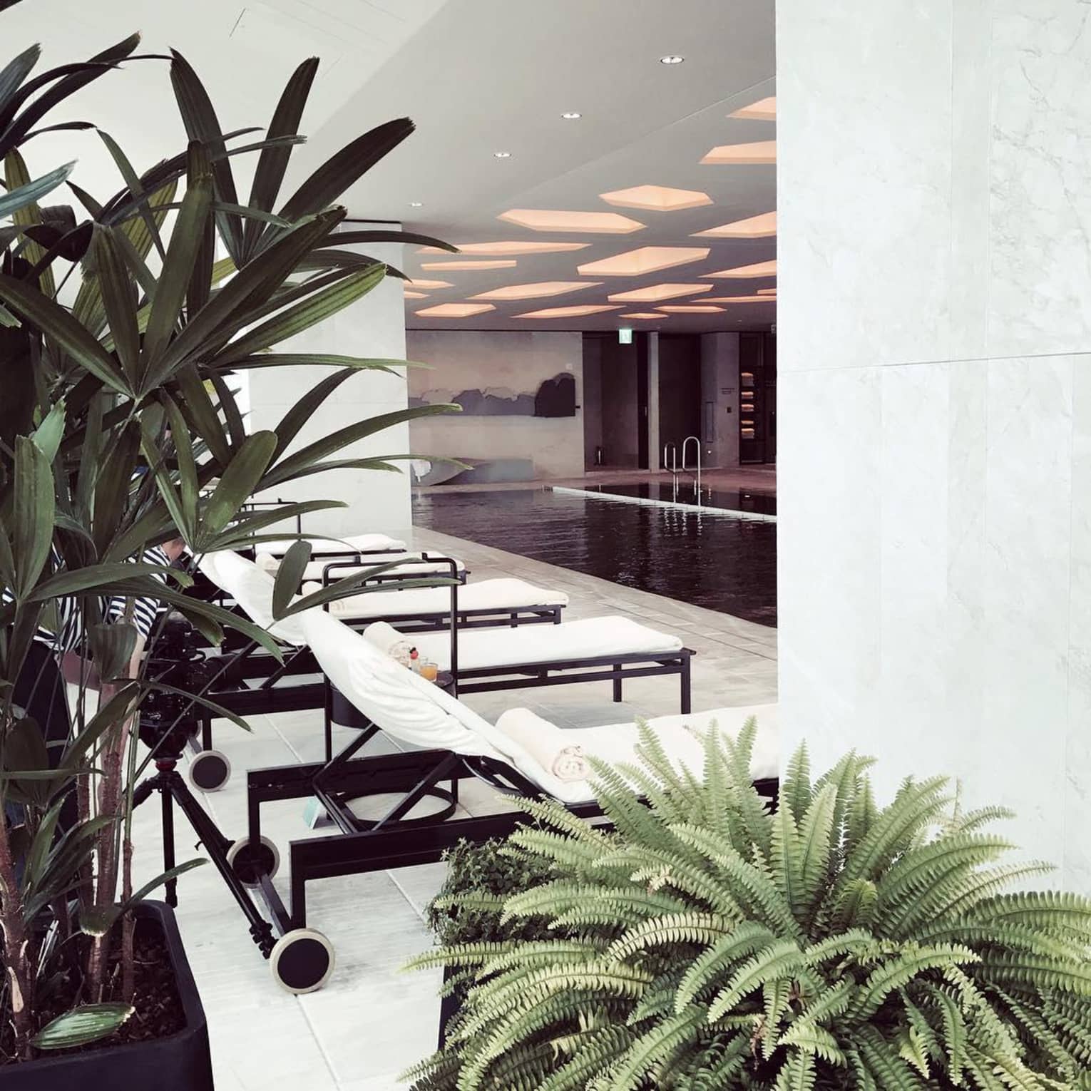 Lounge chairs with white cushions in row on indoor pool deck, past potted tropical plants