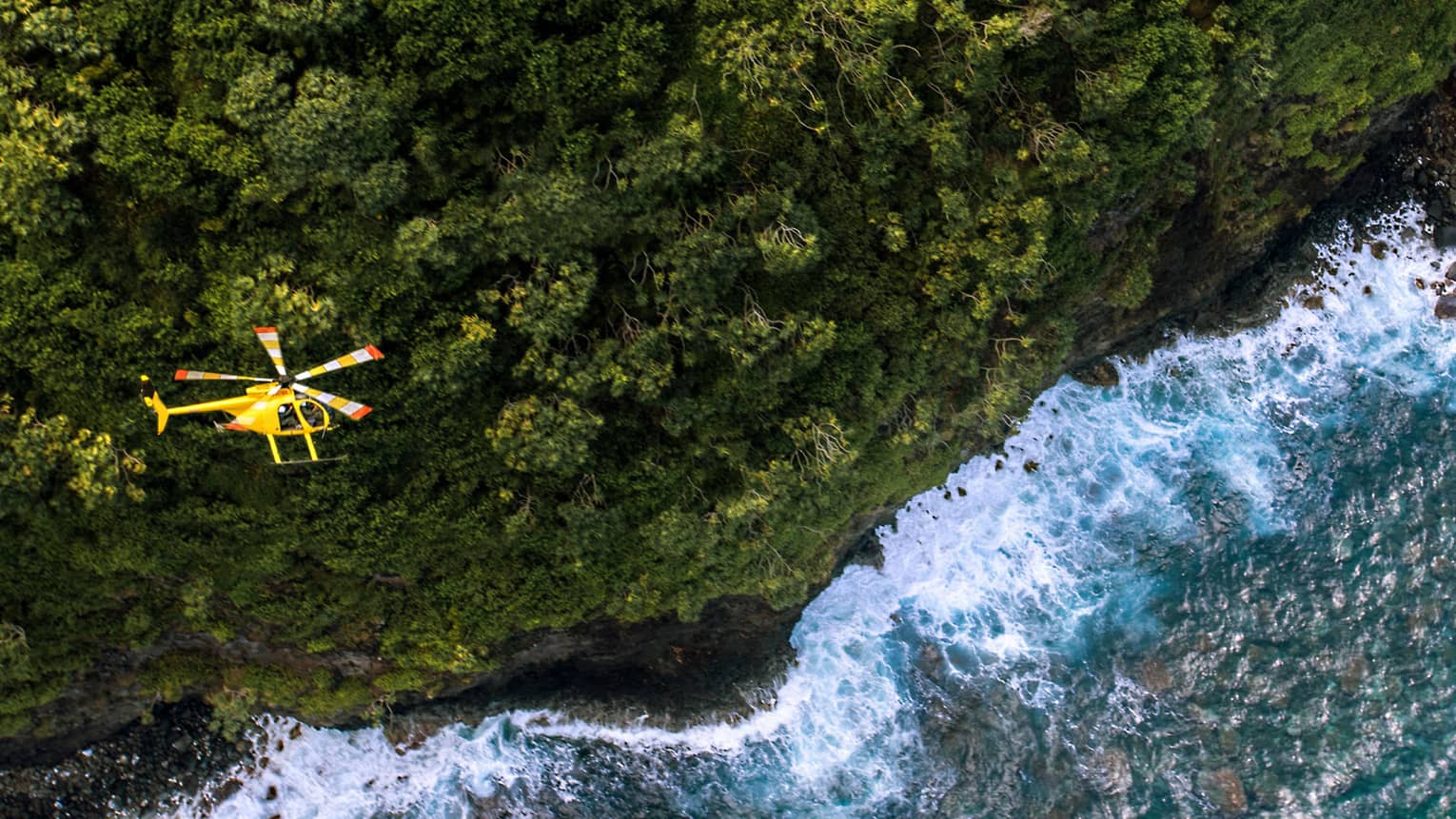 Aerial view of yellow Operation Protect Maui helicopter above green trees and ocean