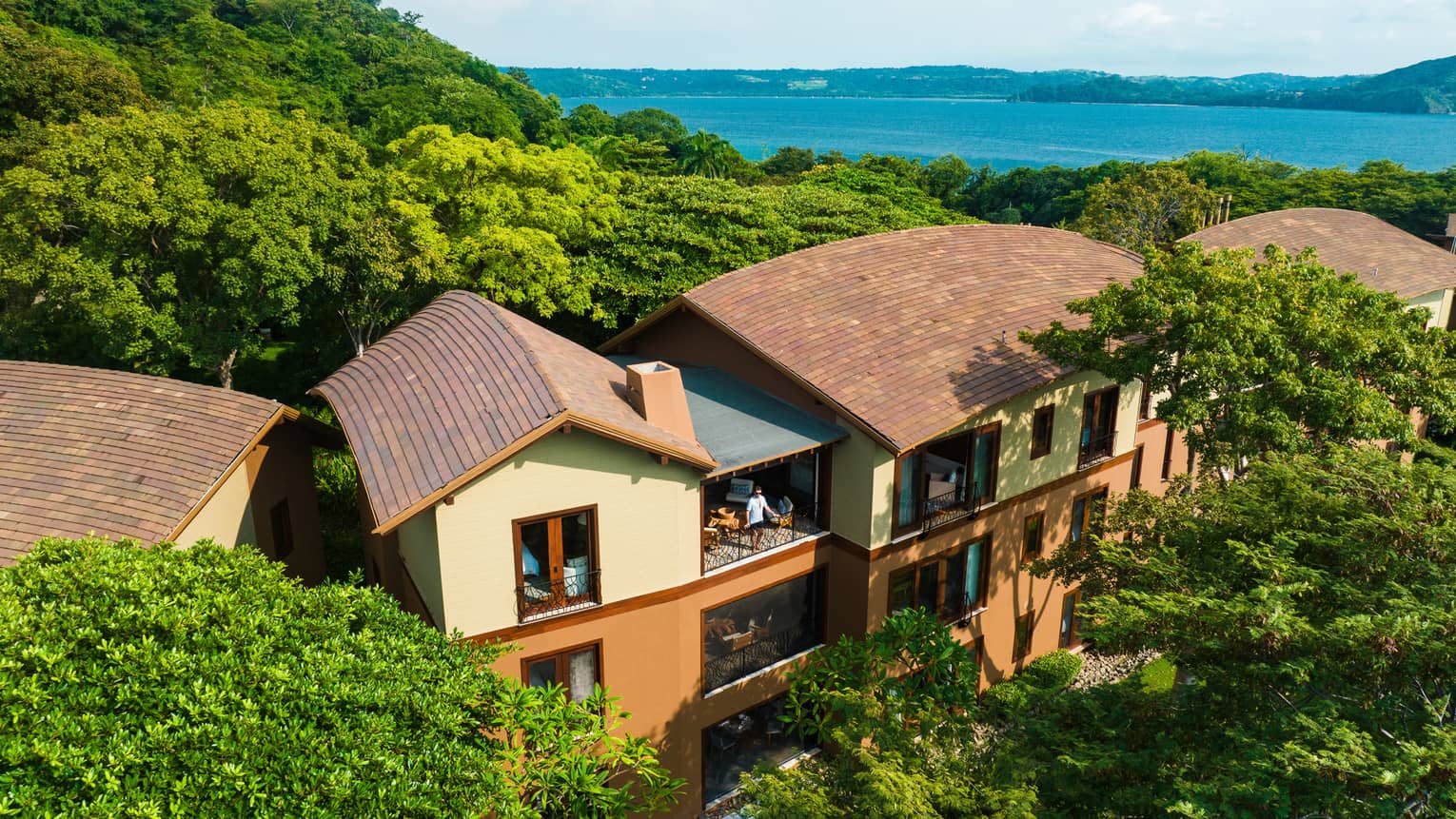 Three-storey building with curved roof set among the trees