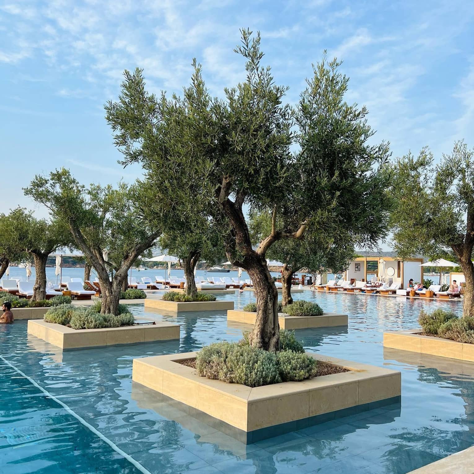 Trees in the Nafsika pool at Four Seasons Astir Palace Hotel Athens, with a view of white lounge chairs behind