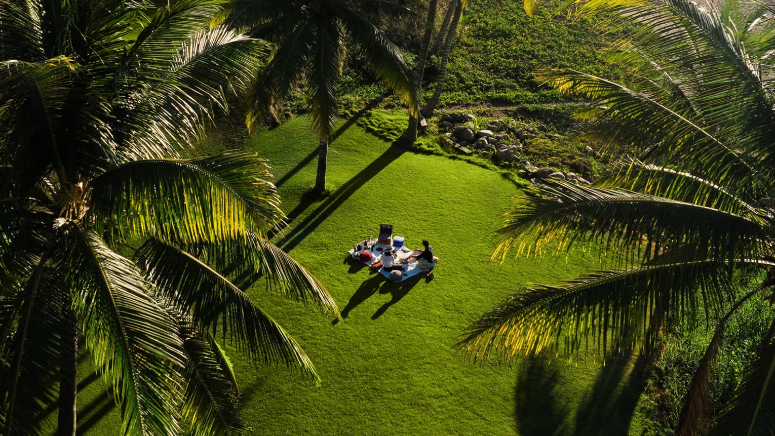 A group of people picnicking on a lush green grassy area close to the beach, surrounded by palm trees. The ocean, beach and hilly shoreline can be seen in the background.