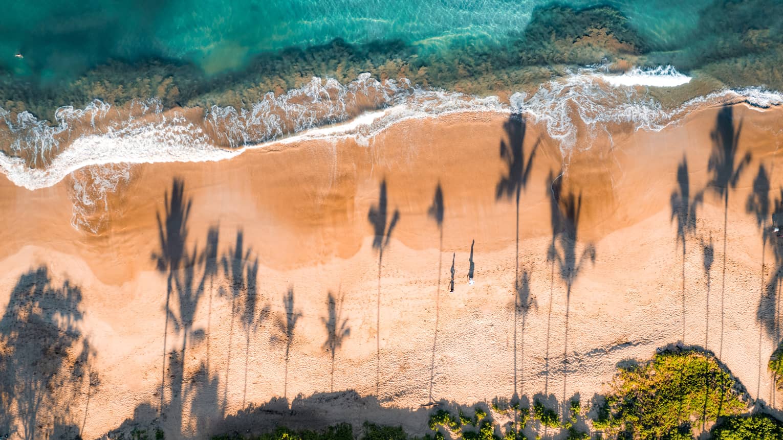 Aerial view of tropical beach
