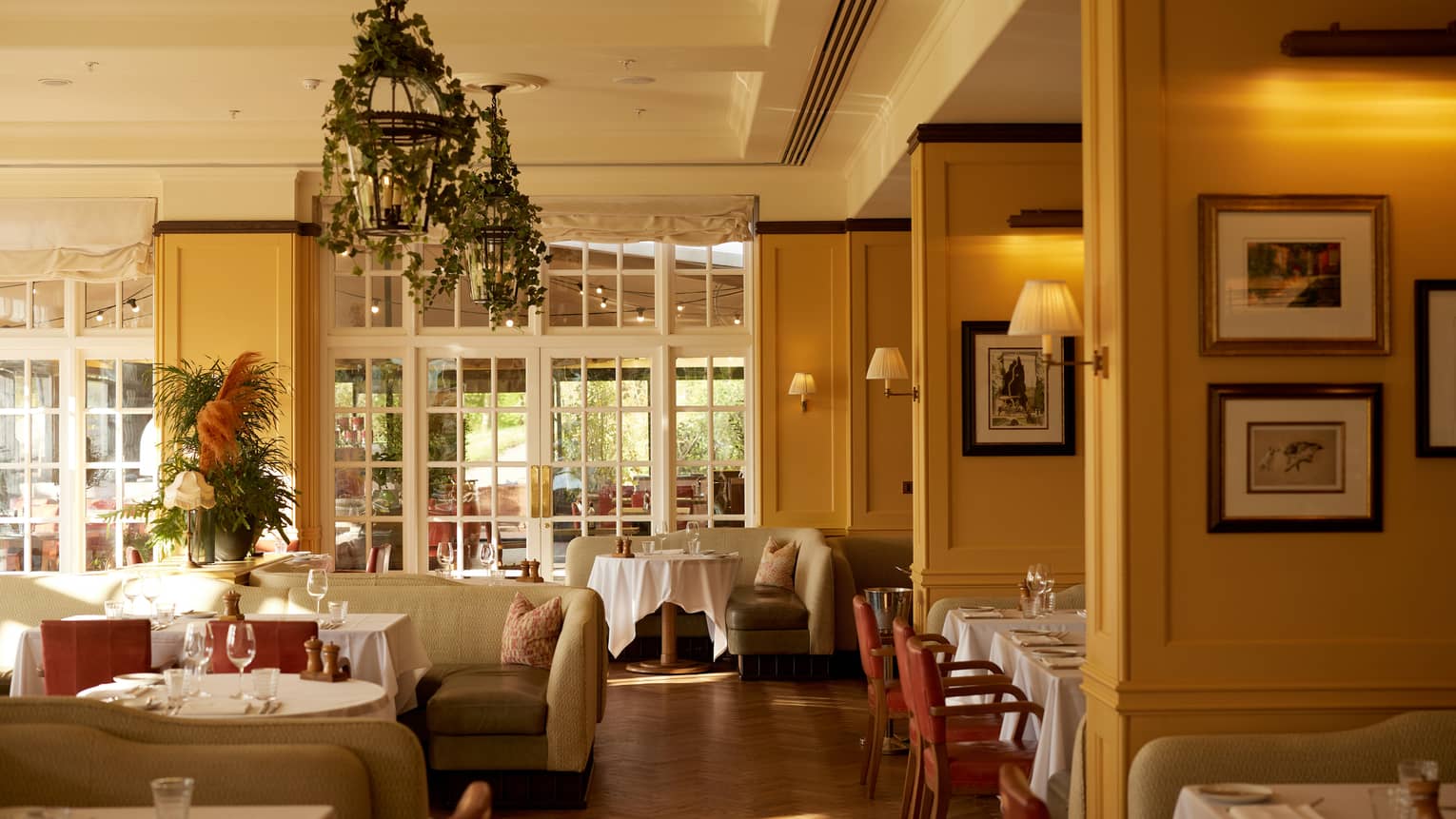 Sunny restaurant with yellow walls, classic banquette and table seating and vine-draped chandeliers