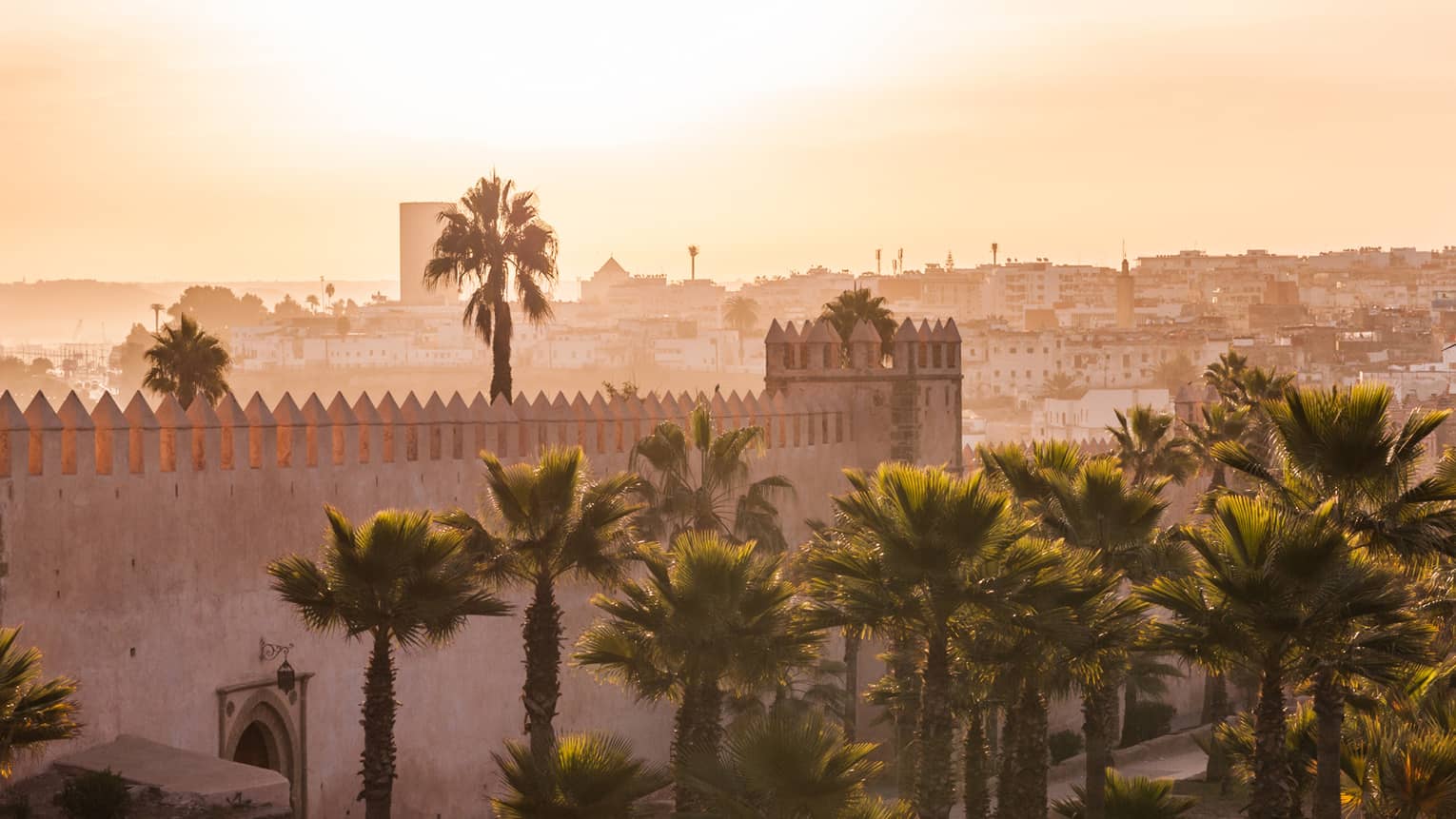 A stone city landscape in the hazy, warm glow of late-day sun, palm trees against a stone battlement in the foreground.