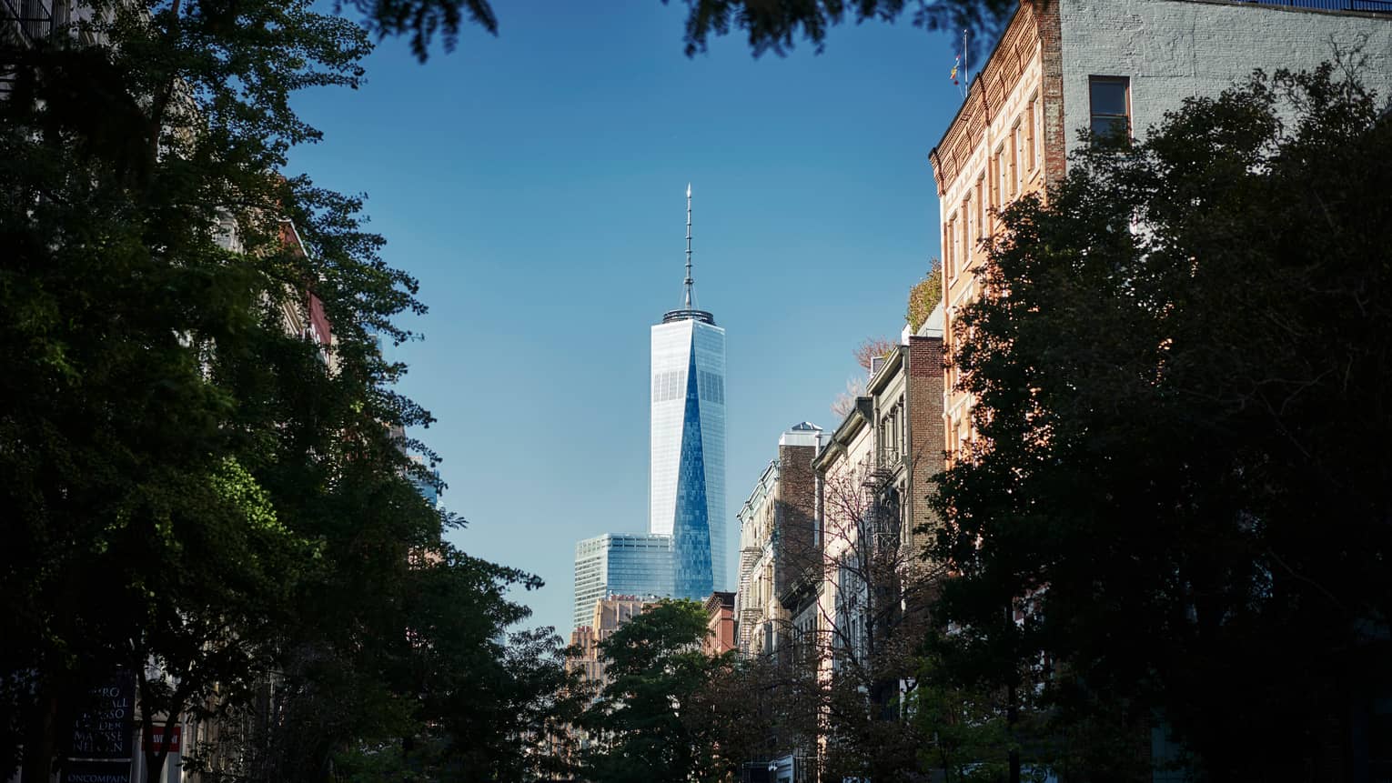 One World Observatory tower against blue sky through trees in downtown New York City