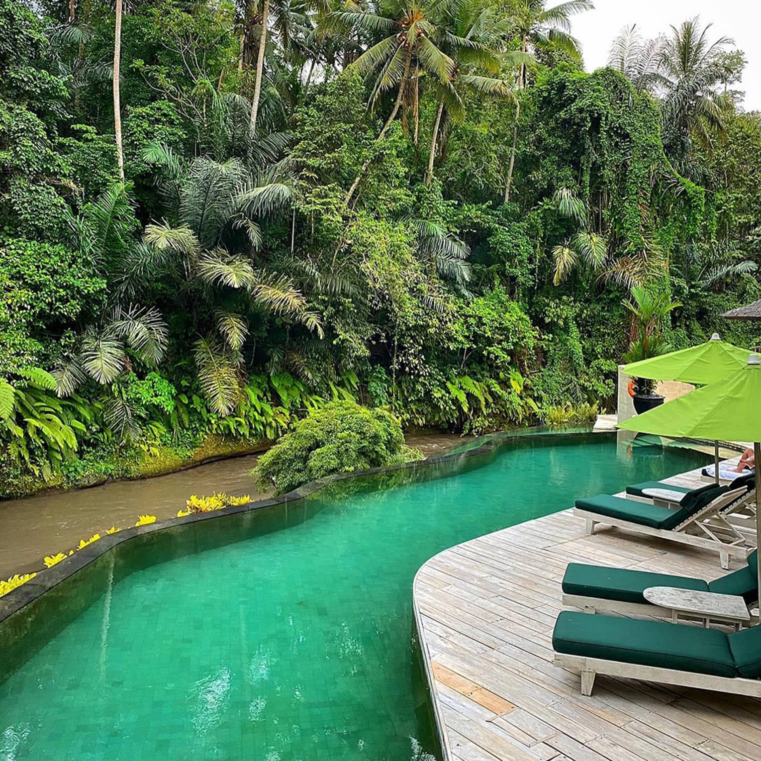 loungers by hotel pool with jungle in the background