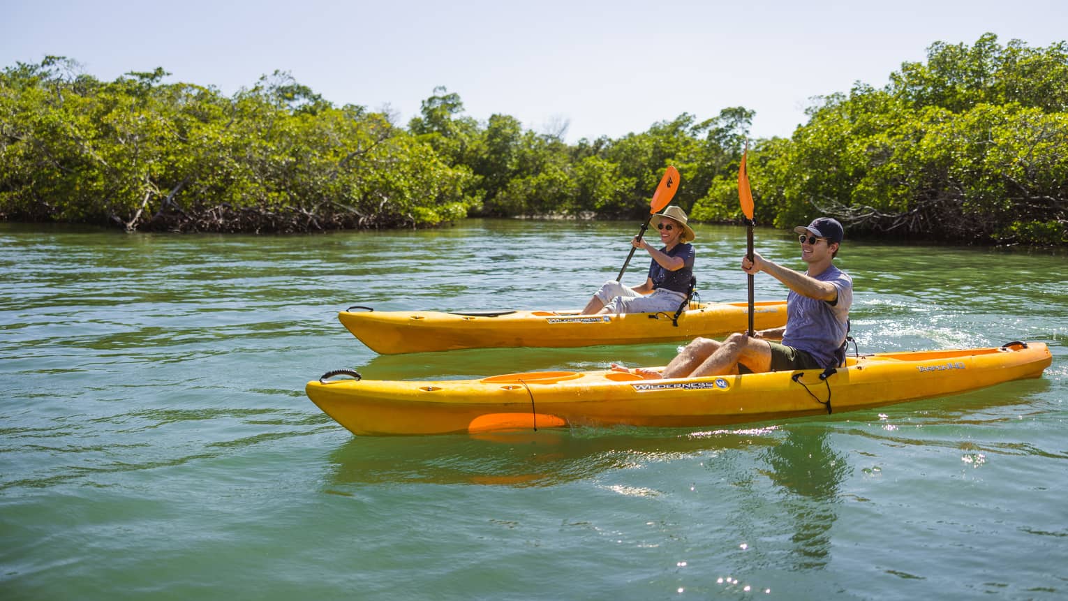 Two people row in yellow kayaks on the water, with bushy trees lining the waterway