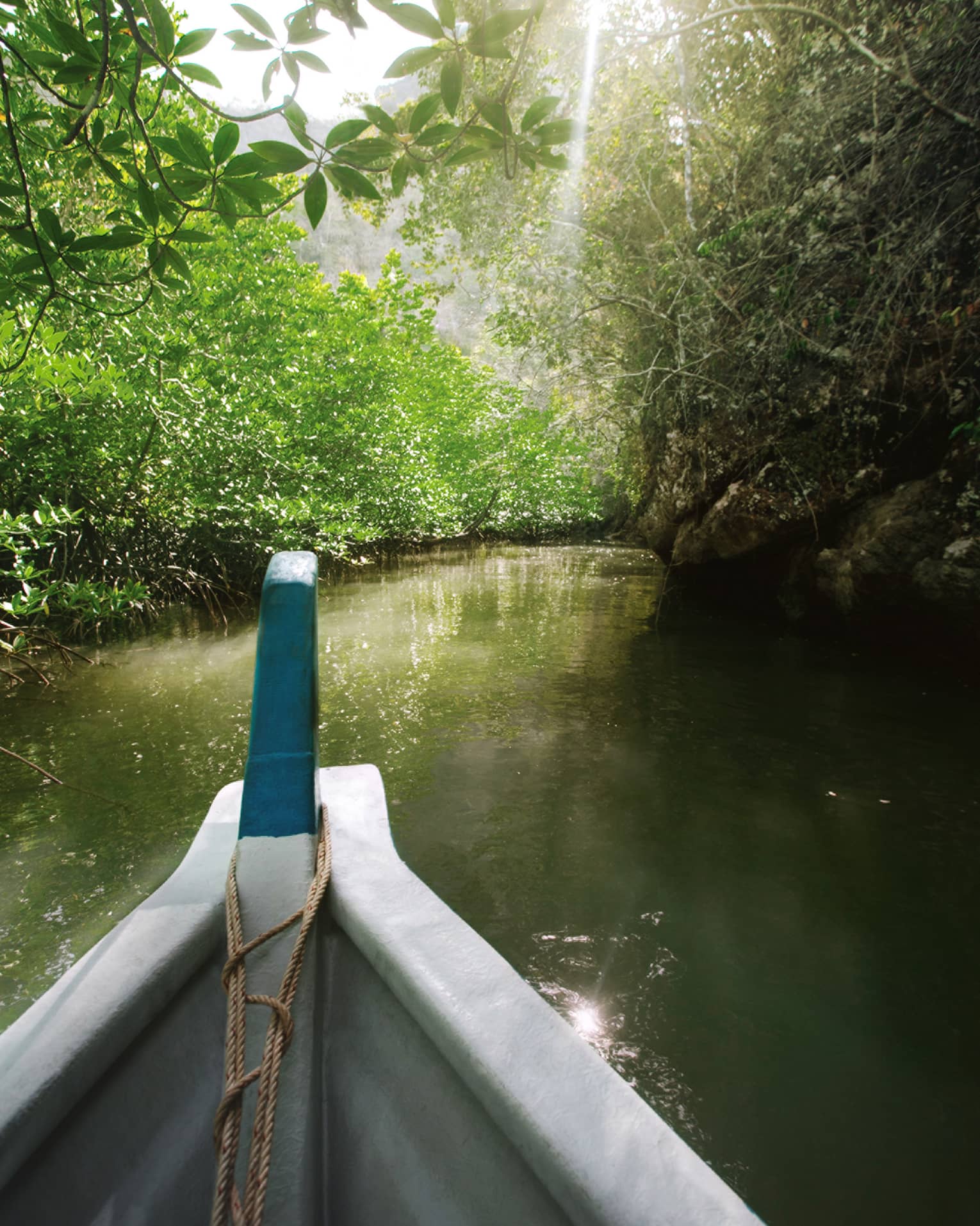 A boat overlooks the mangroves in Langkawi on the river