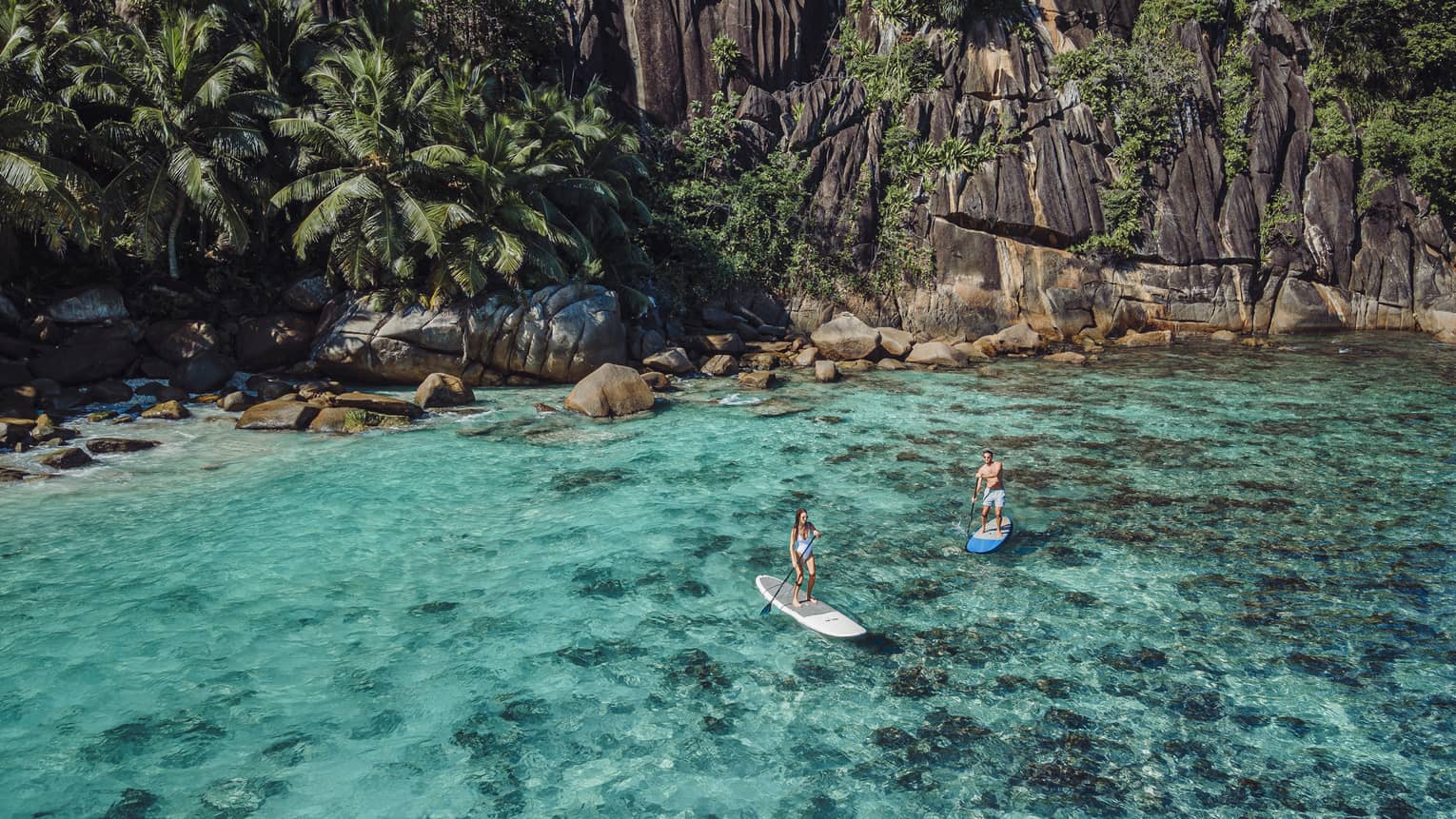 Aerial view of two stand-up paddleboarders navigating clear turquoise waters by the shore of a towering, verdant bluff.