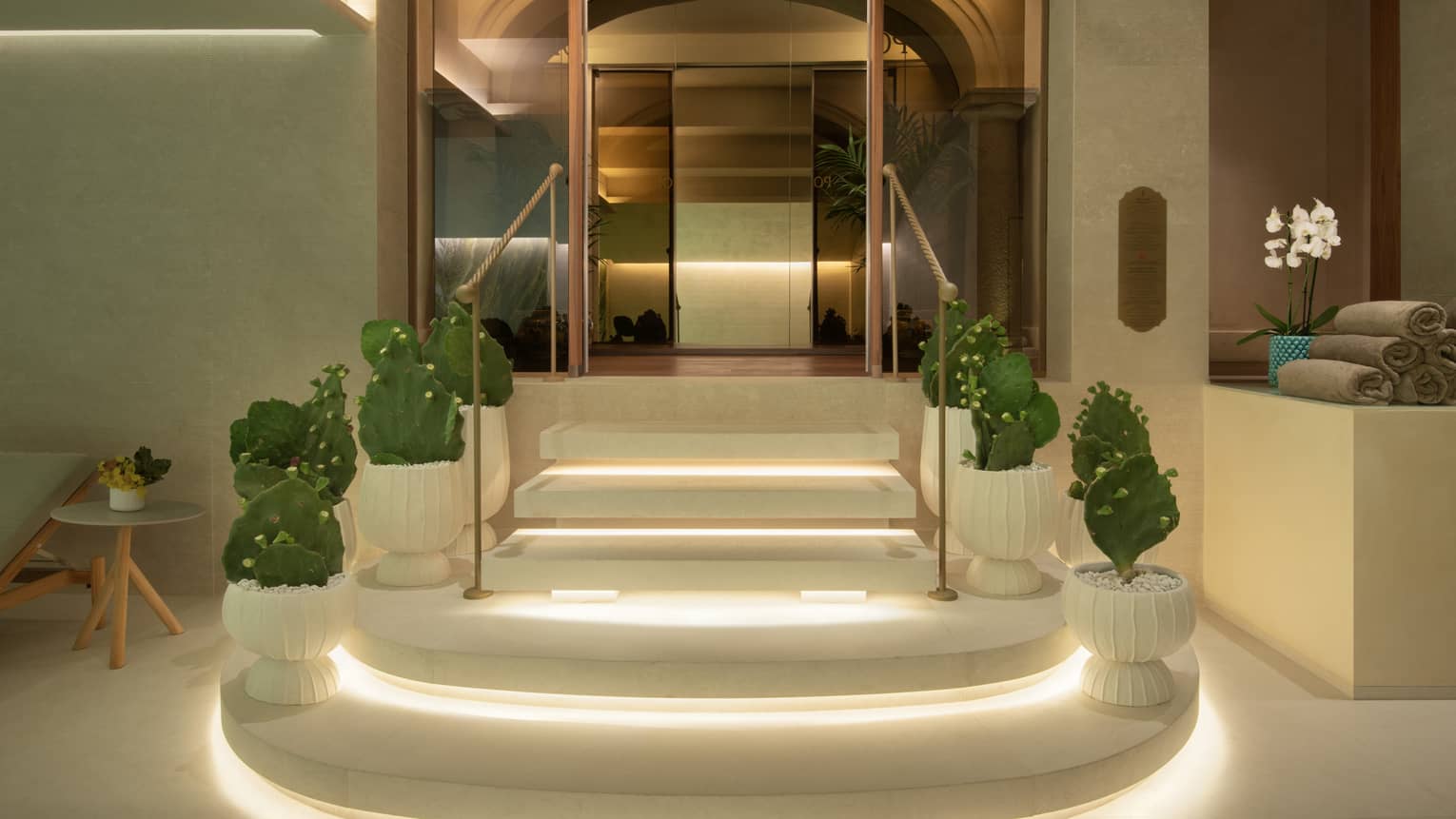 Steps flanked with potted cacti, leading up to spa hallway