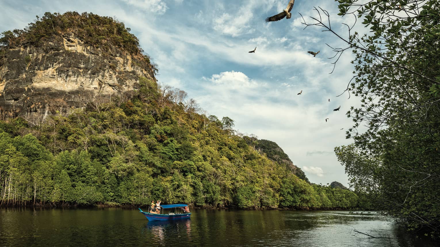 A majestic mountain rainforest looms behind tourists in a small, canopied riverboat as they watch eagles soaring high above.