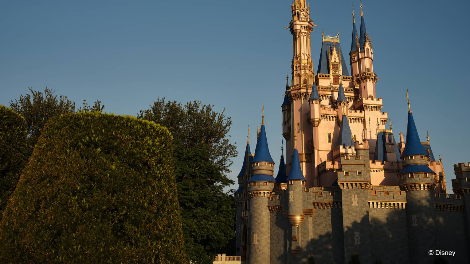 Cinderella's castle at Walt Disney World�