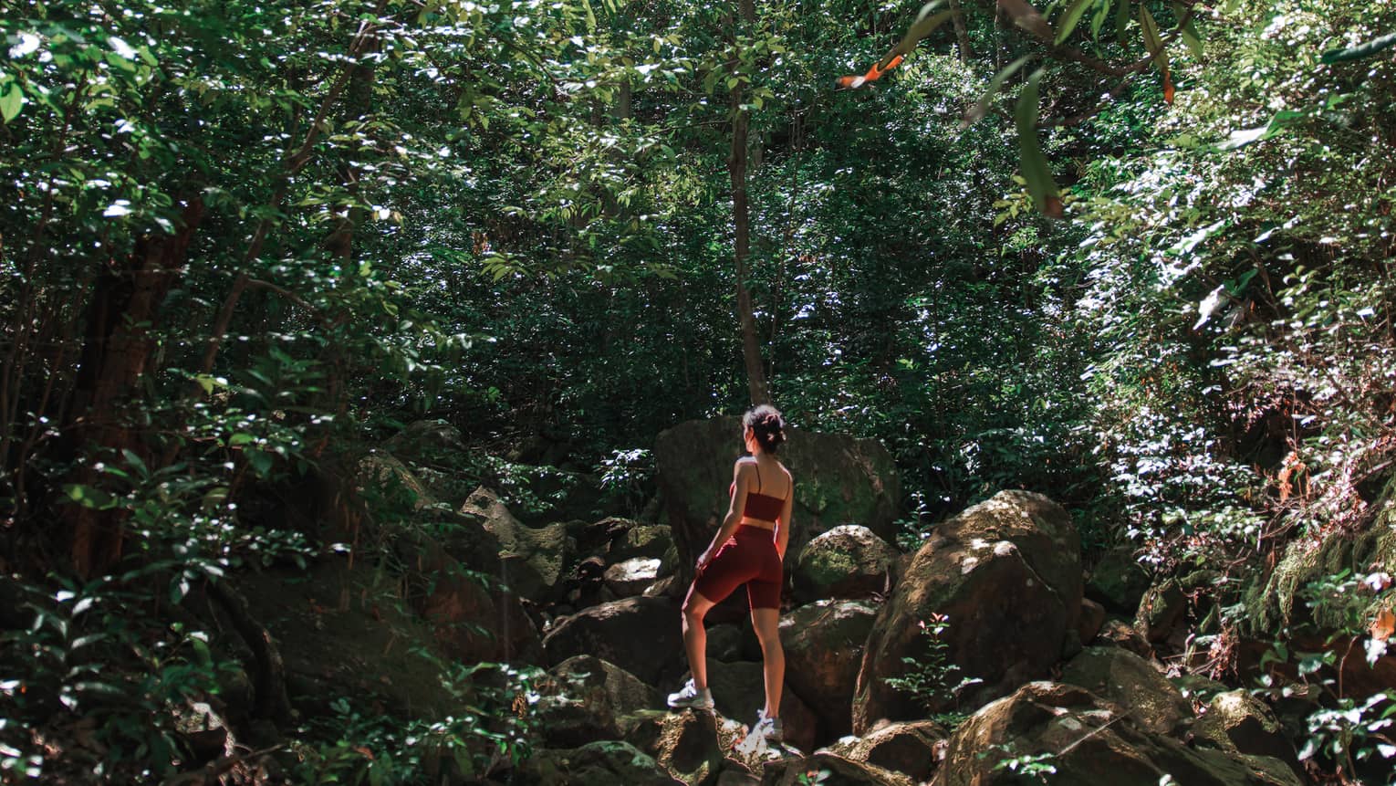 Woman in athletic wear standing atop a rocky hill and surrounded by green forest