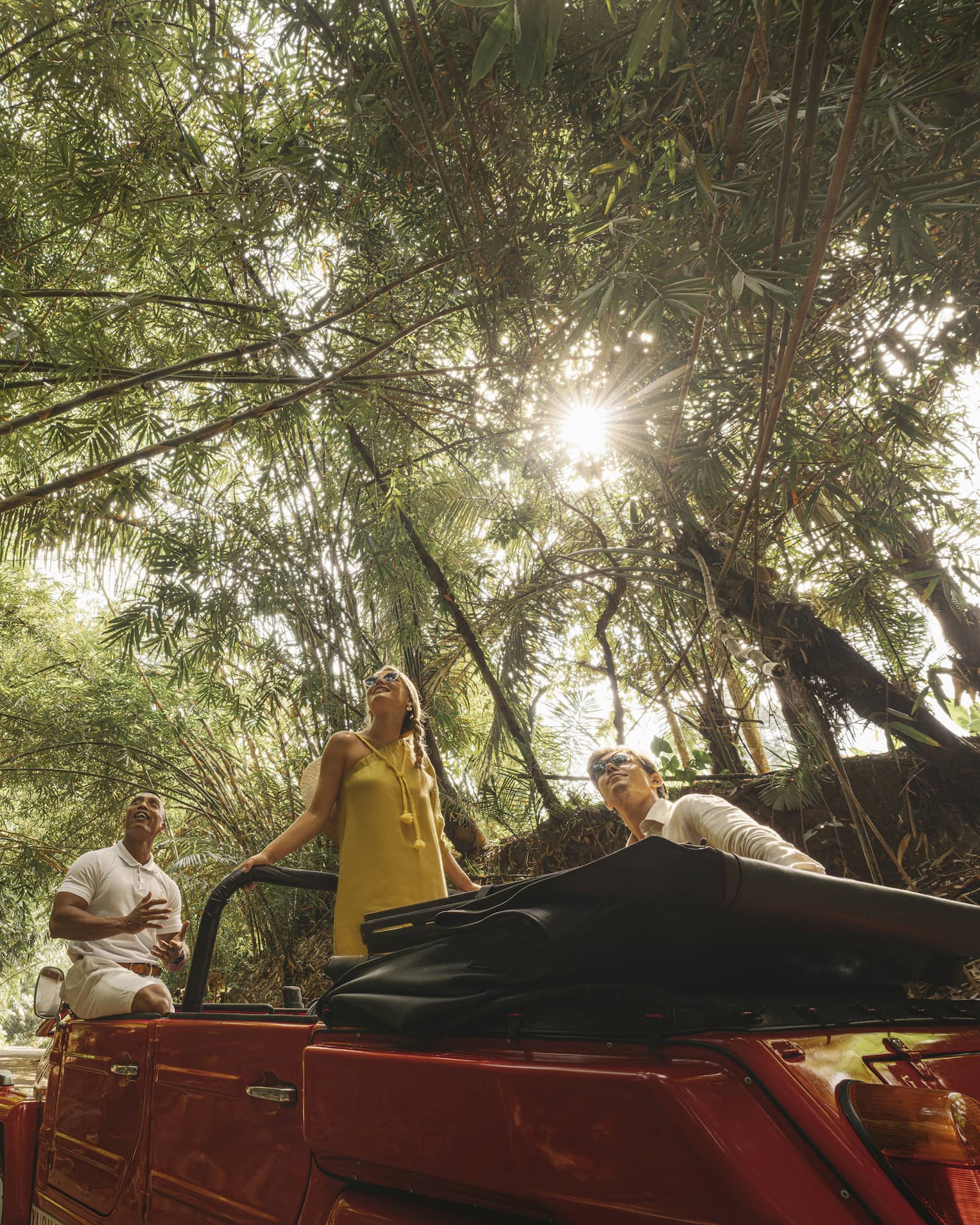A guide and two guests in a Jeep parked on a brick trail look skyward as sunlight filters through a canopy of palm fronds.