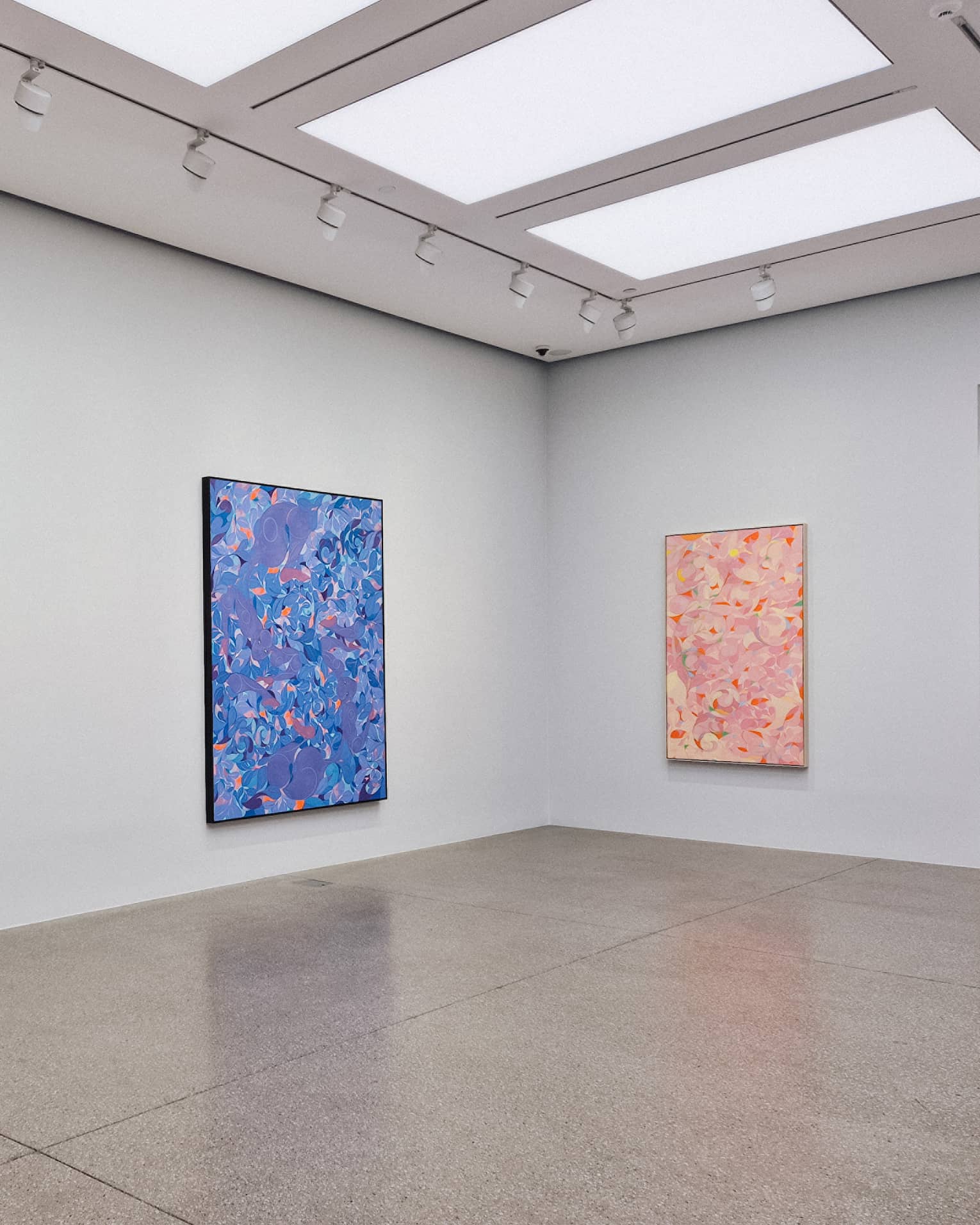 Colourful paintings in an art gallery room