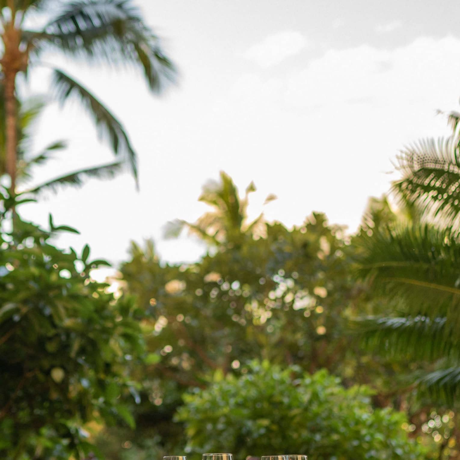 Wooden table set for a two-person dinner in private, tropical garden setting