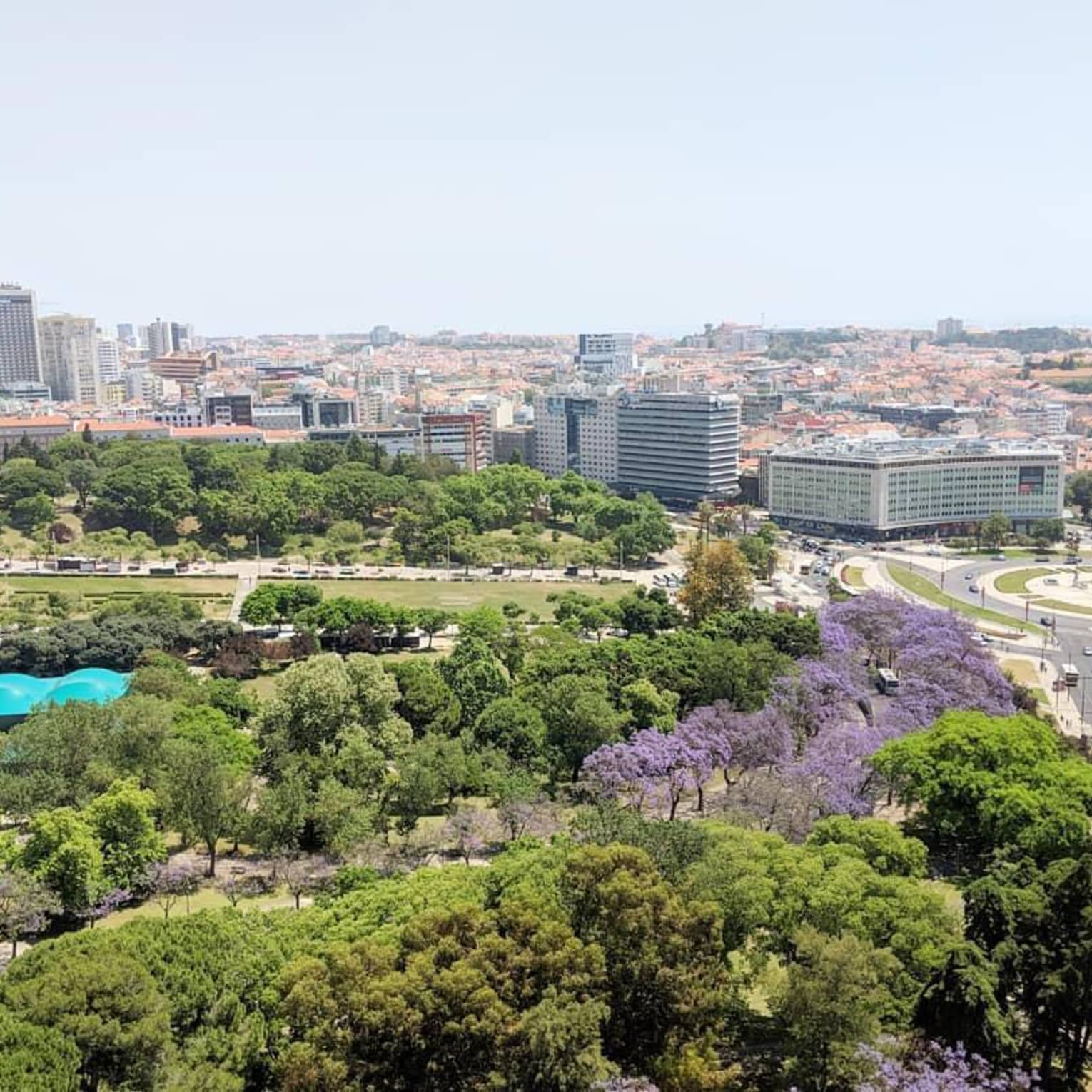 Canopy of trees over roads, Lisbon city skyline