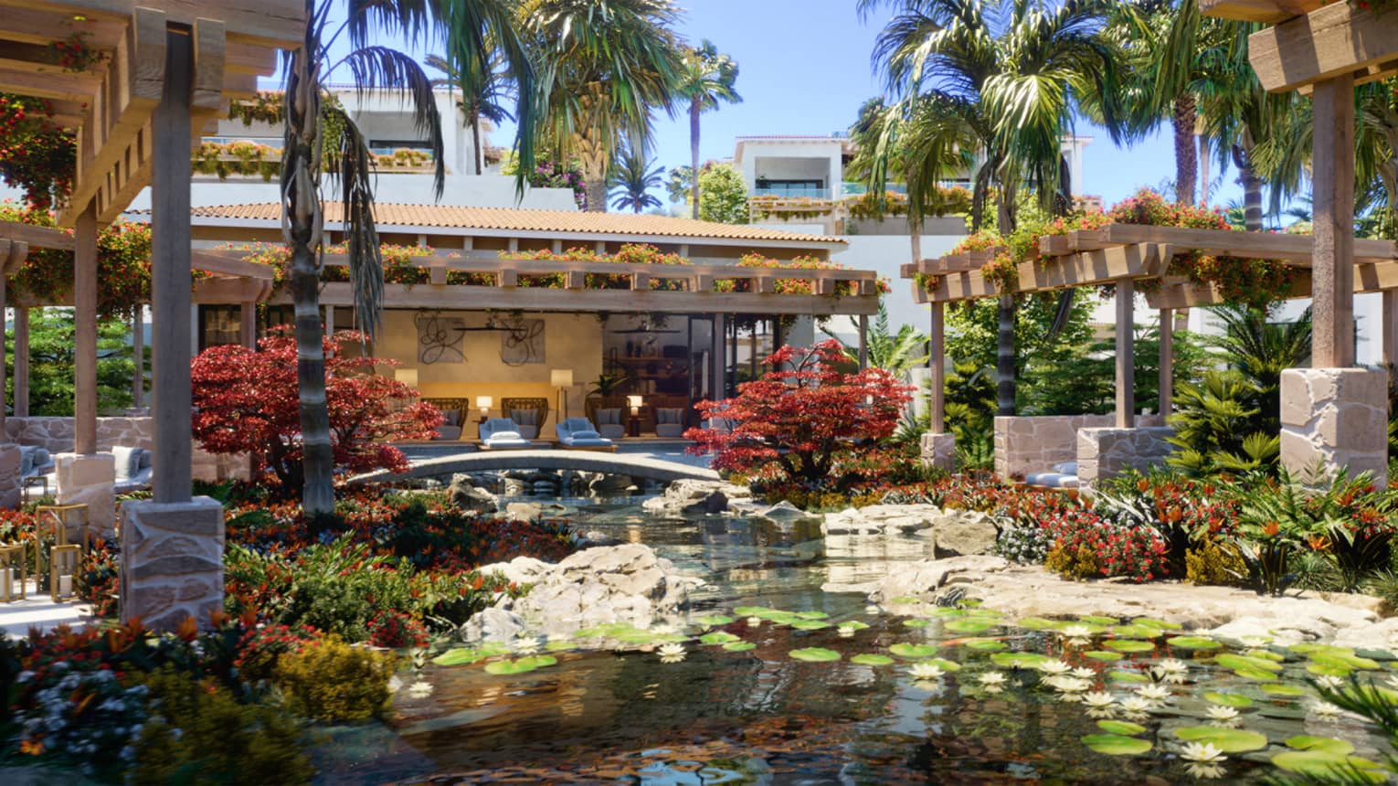 The tropical gardens at Cabo San Lucas