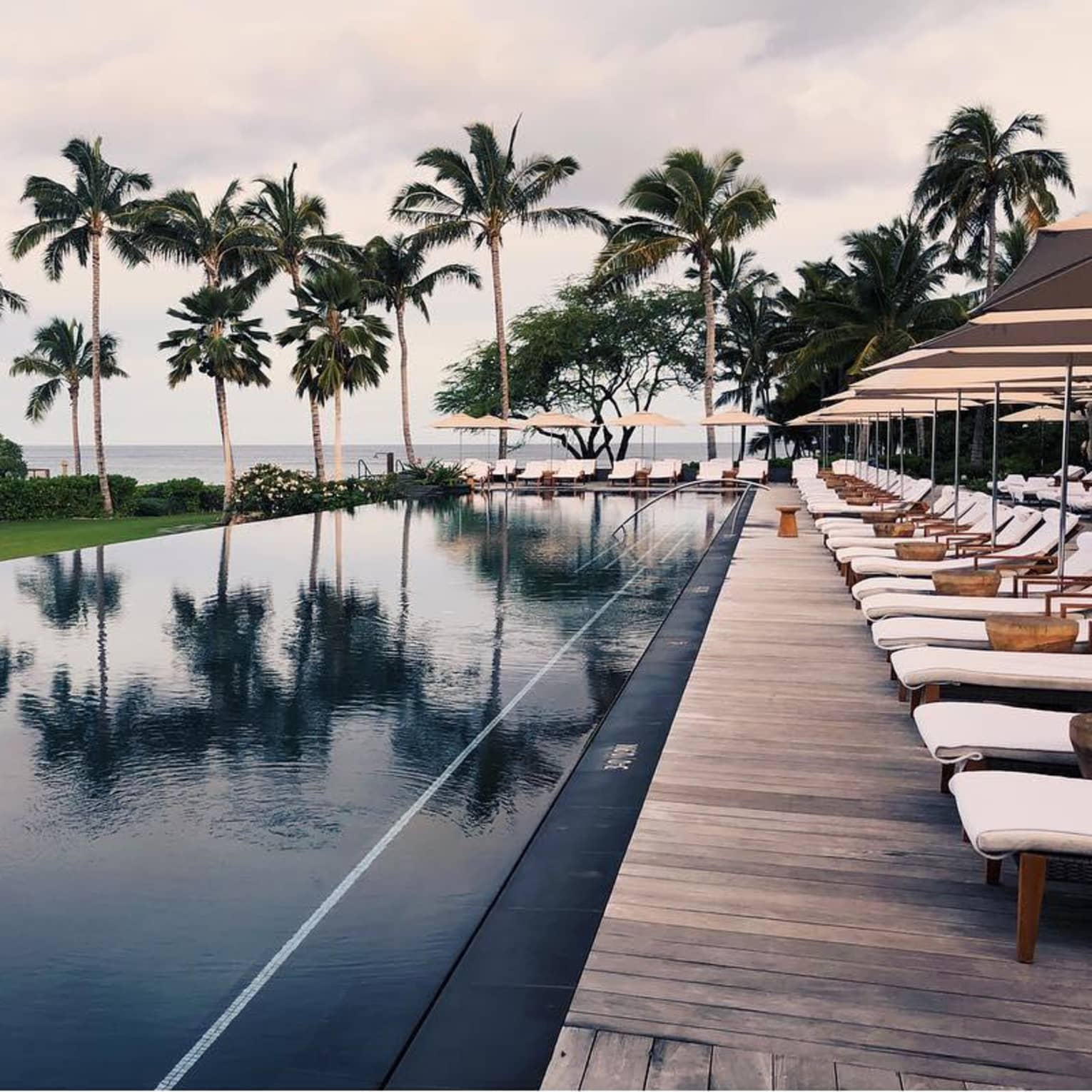 Tall palm trees reflected on outdoor swimming pool lined with lounge chairs