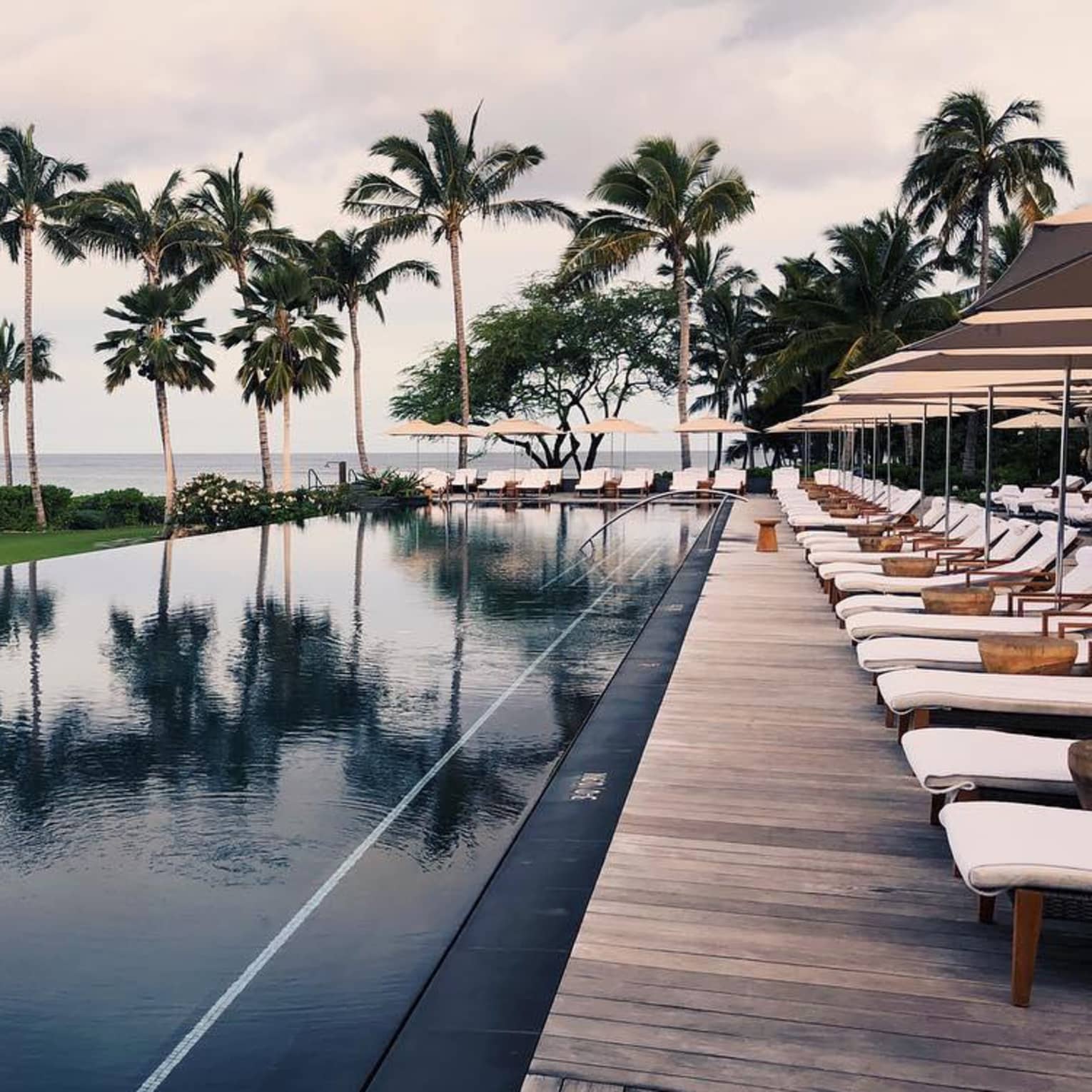 Tall palm trees reflected on outdoor swimming pool lined with lounge chairs