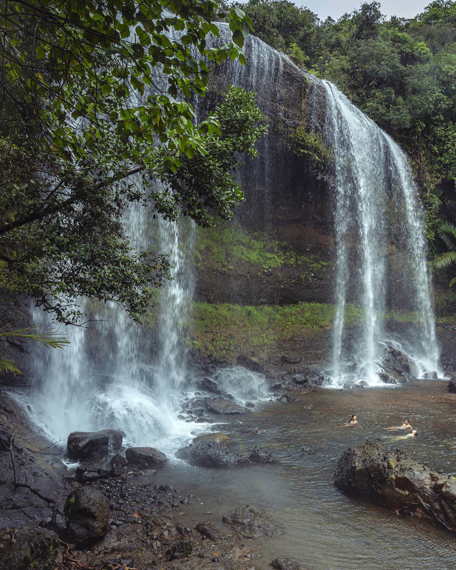 Water cascading over a mossy cliff encompassed by lush greenery; below the waterfall, three people relax in the plunge pool.