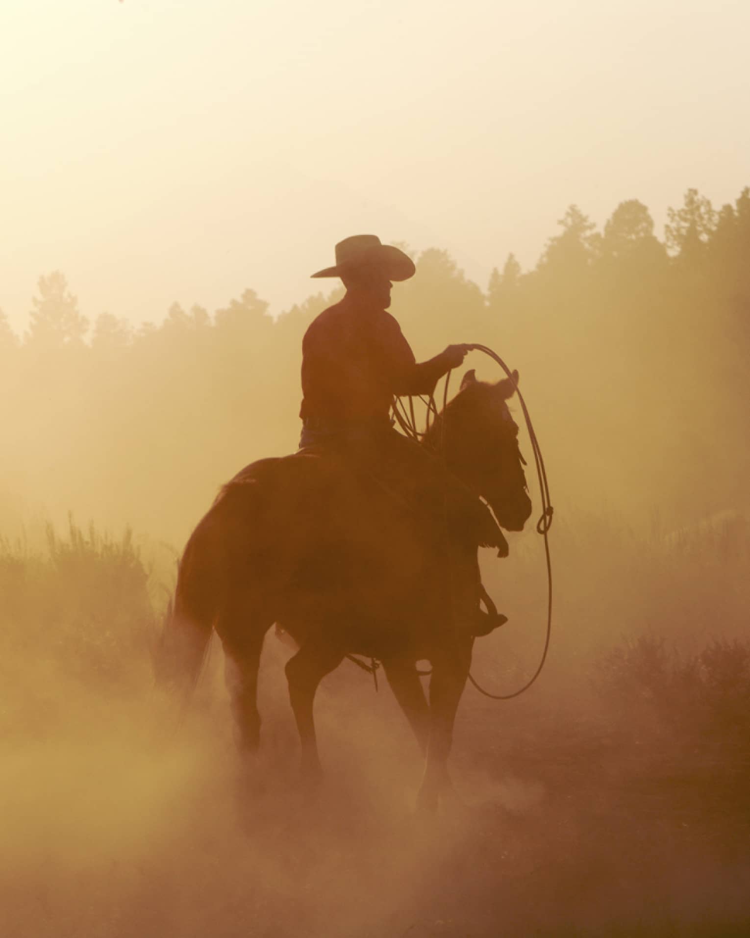 Silhouette of cowboy with rope on horse in misty mountain forest