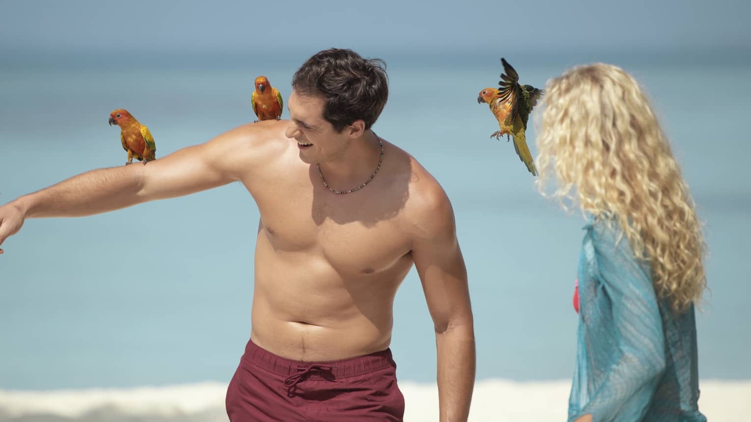 Two people on a beach interacting with colourful birds