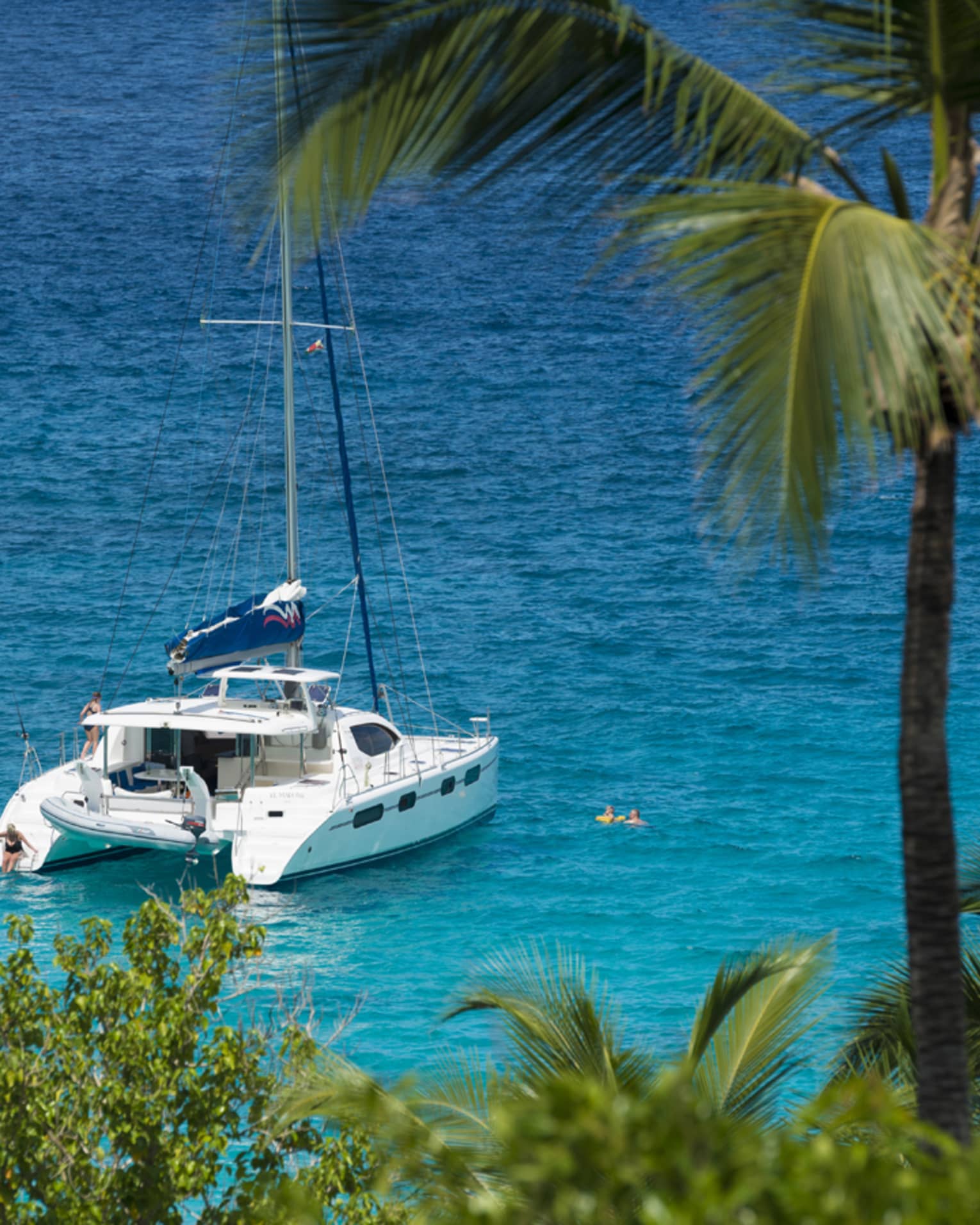 Looking down past tall palm tree at white yacht on blue ocean on sunny day