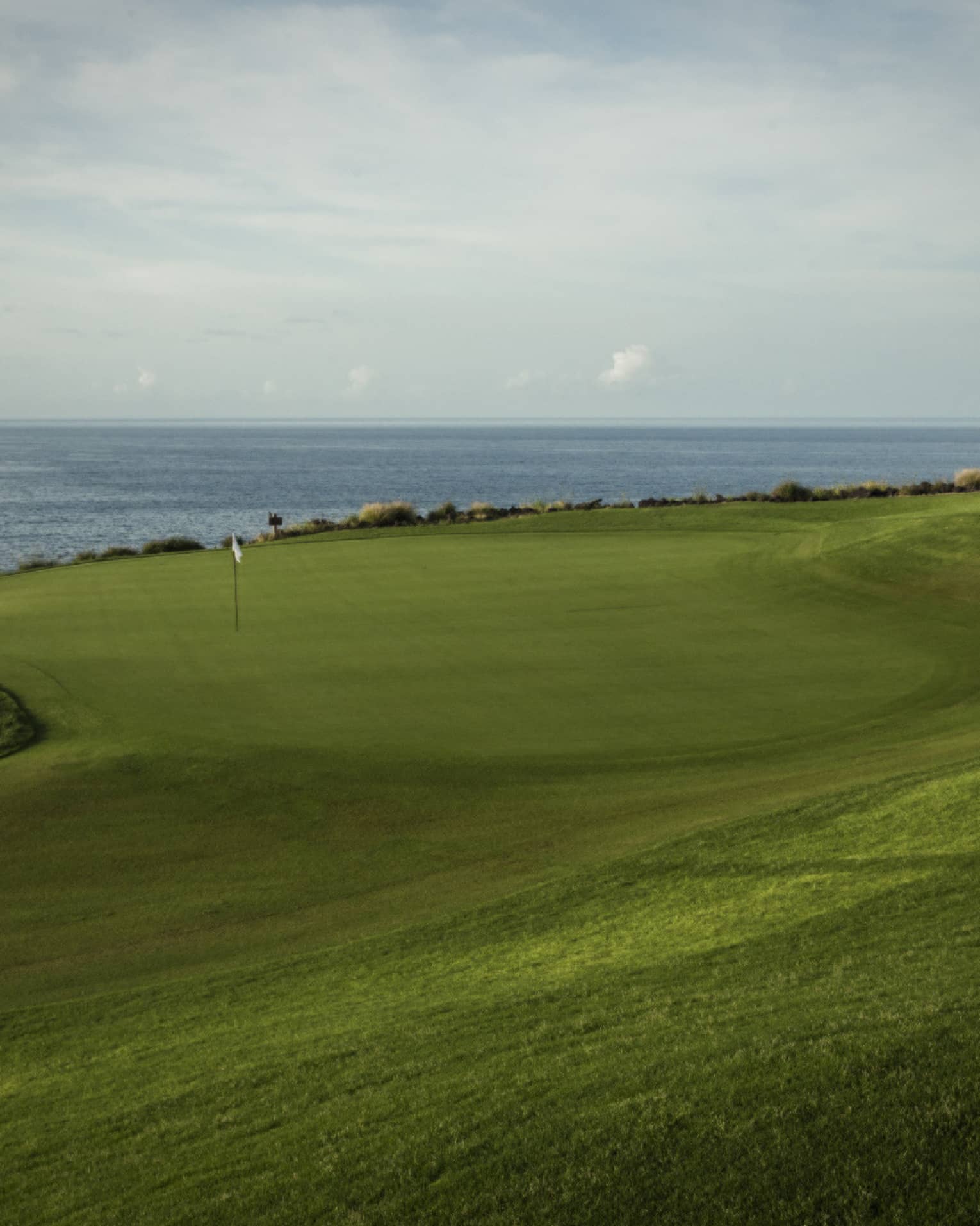 Swirly-shaped golf green with white flag, sandy bunker to the left, lone tree to the right, slate-blue ocean in the distance.
