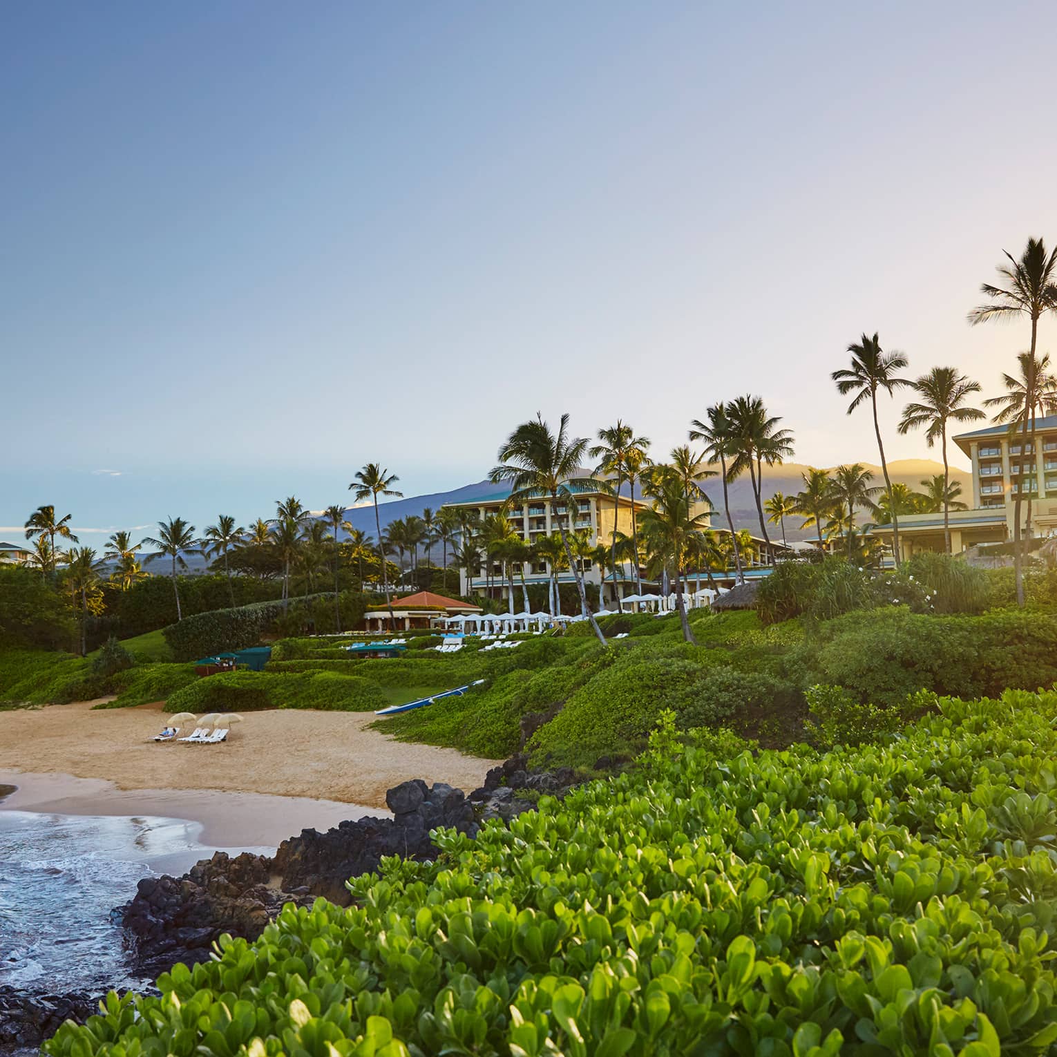 Four Seasons resort and beachfront at sunset, looking over ocean through lush green plants