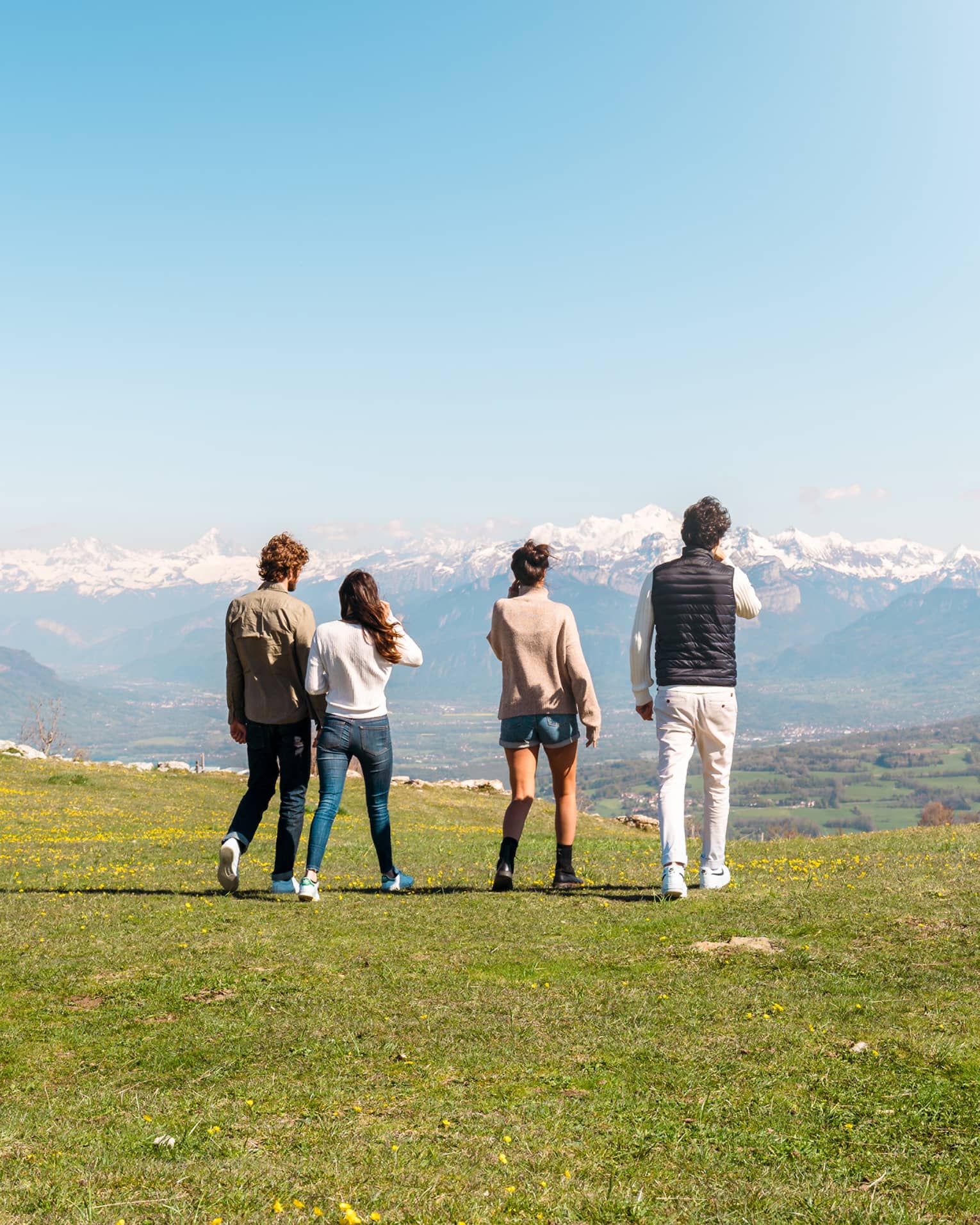 Rear view of four friends standing on a mountaintop looking at snow-capped mountains