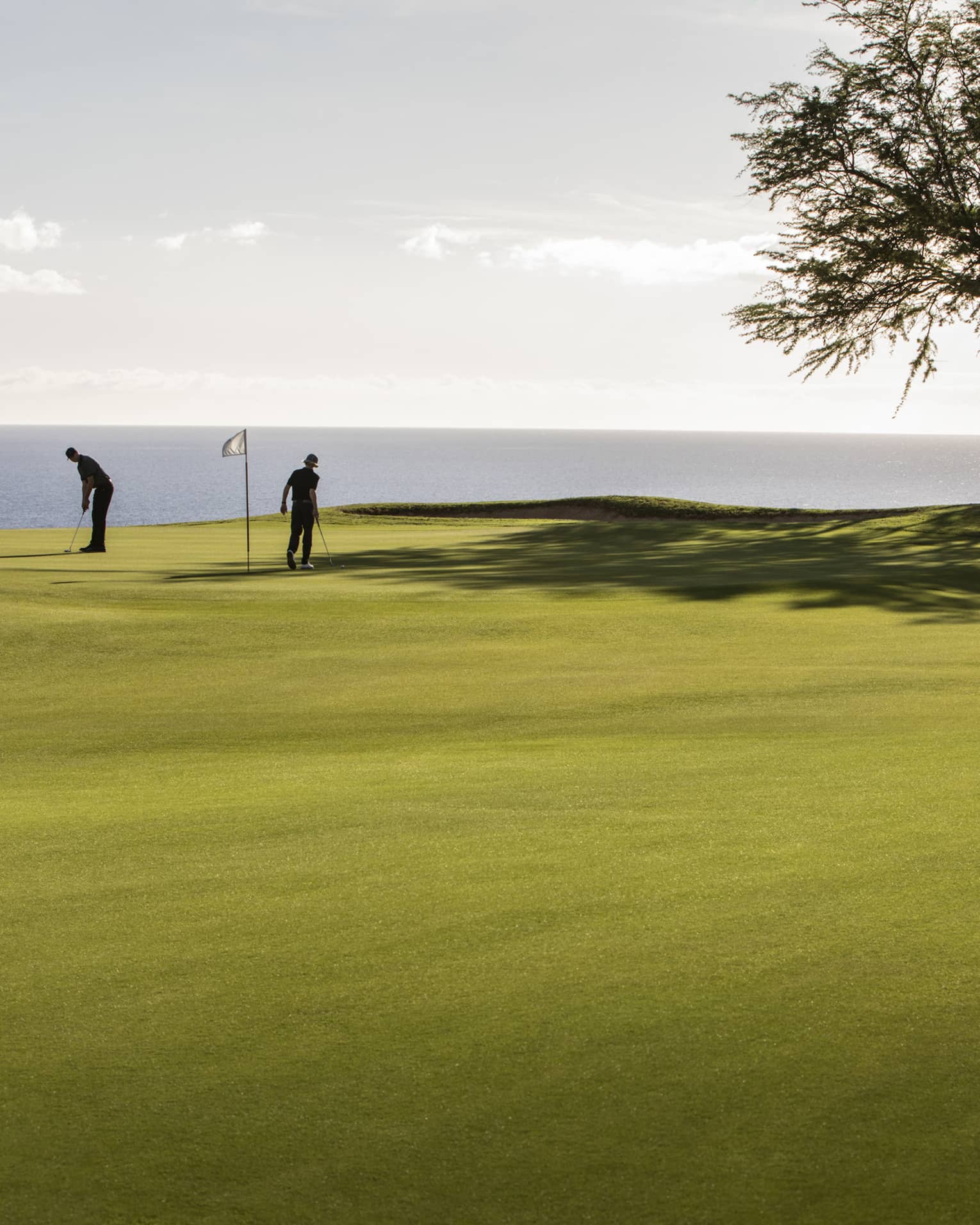 Long view of two golfers on a green flanked by a bunker and tree, silhouetted against a shimmering ocean backdrop.