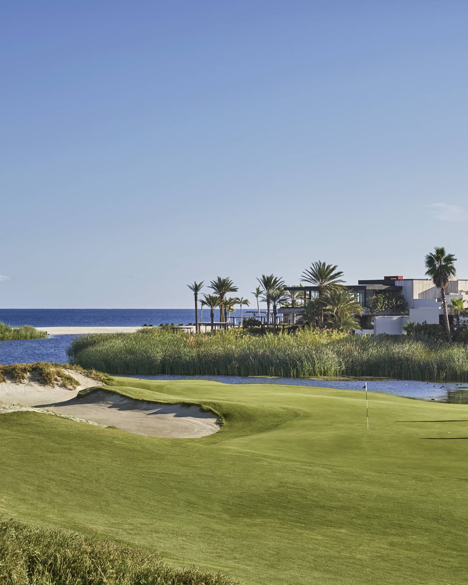 Two golfers putting with the landscape and ocean around them