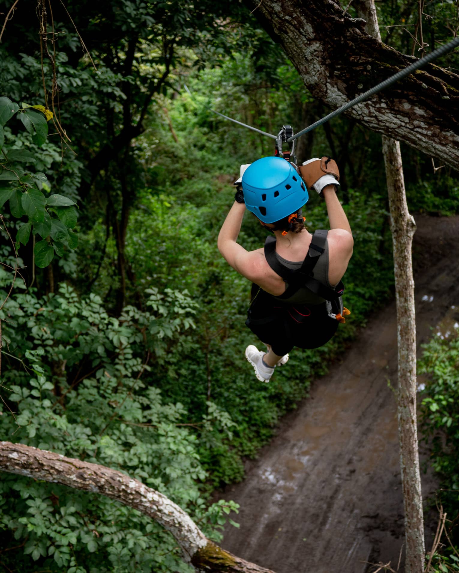 Aerial view of a person wearing a black sleevless shirt, black shorts, white sneakers and a bright blue helmet sliding through the trees on a zipline