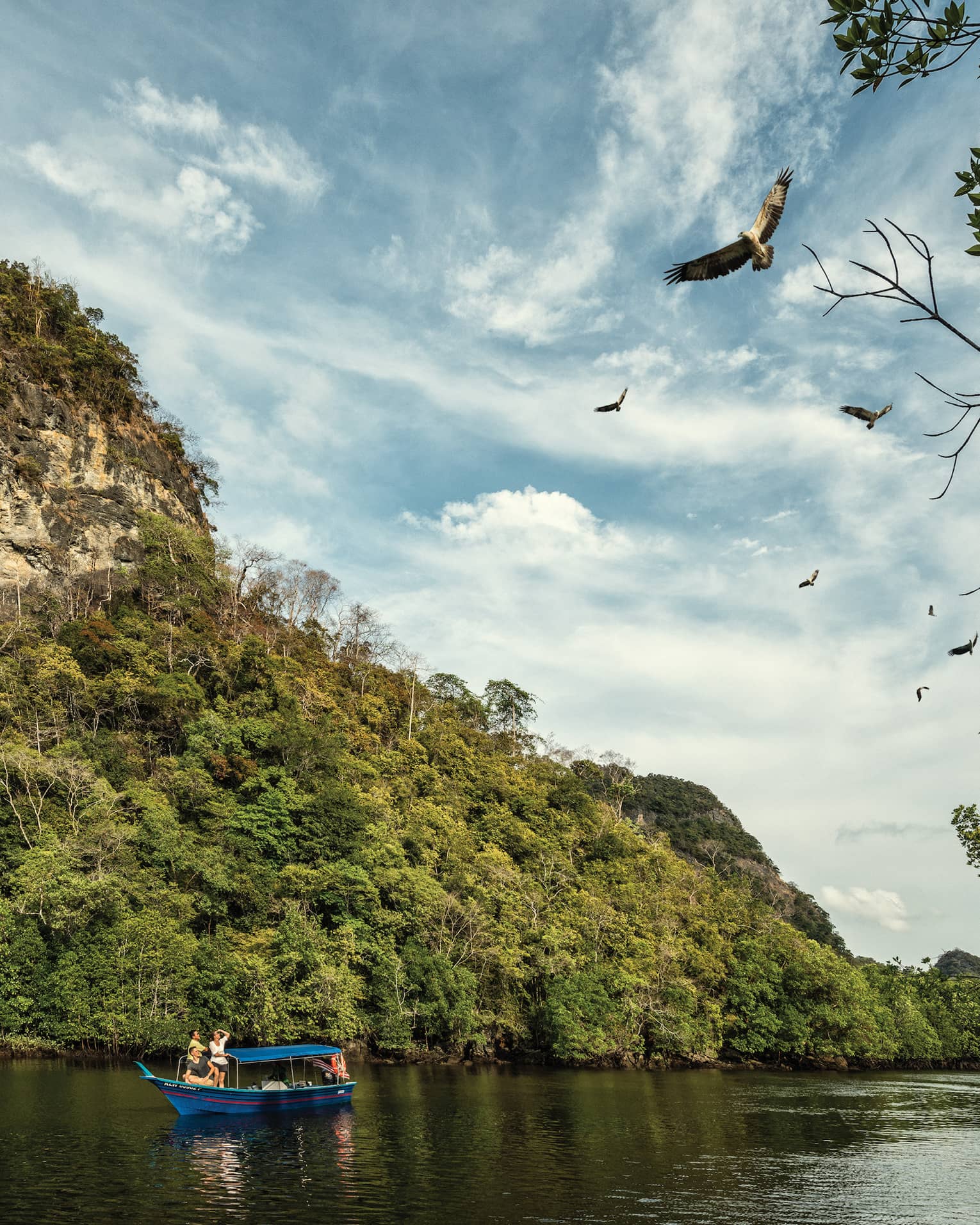 A majestic mountain rainforest looms behind tourists in a small, canopied riverboat as they watch eagles soaring high above.
