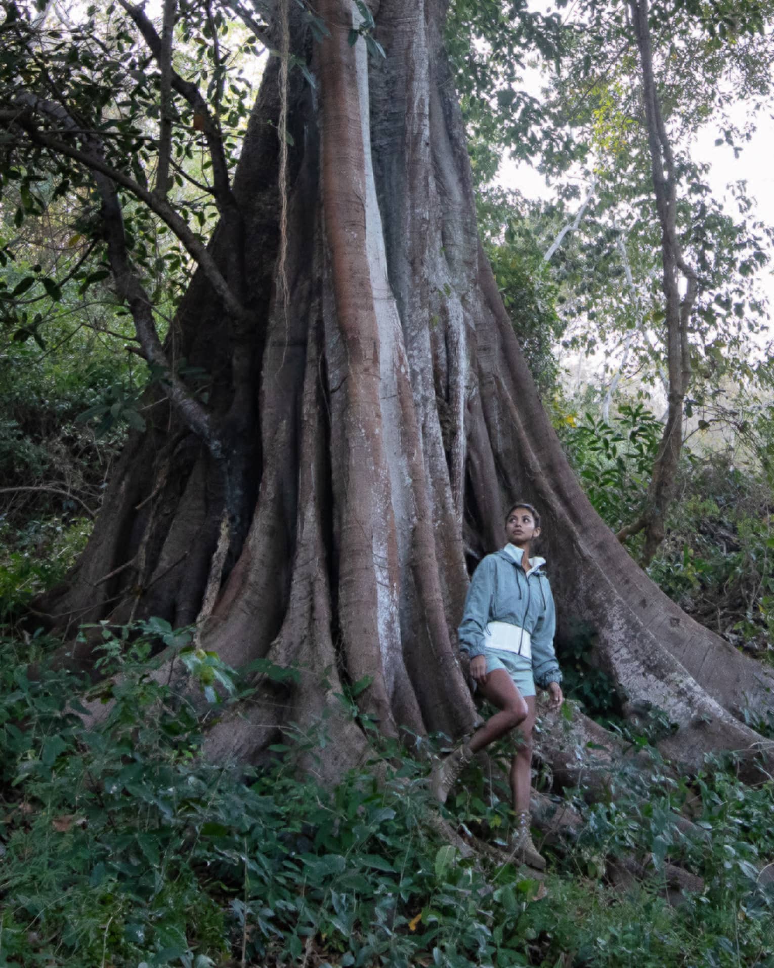 A person stands beneath a massive, ancient tree in a lush forest, gazing up at its towering branches surrounded by dense greenery.