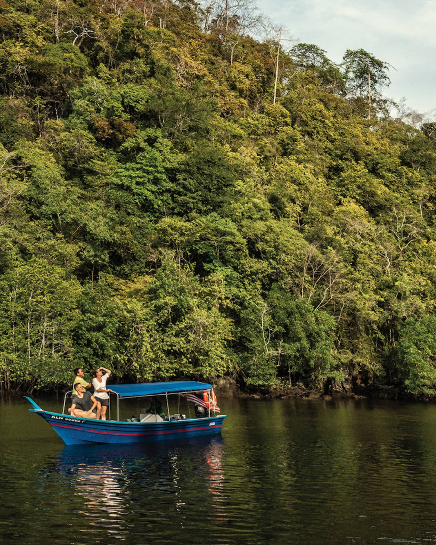 A majestic mountain rainforest looms behind tourists in a small, canopied riverboat as they watch eagles soaring high above.