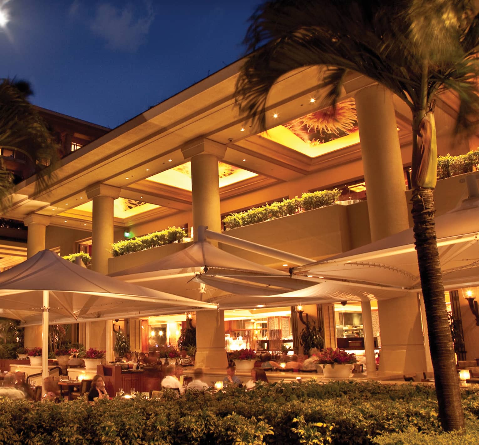 Elegant outdoor restaurant with white canopies and warm lighting at night