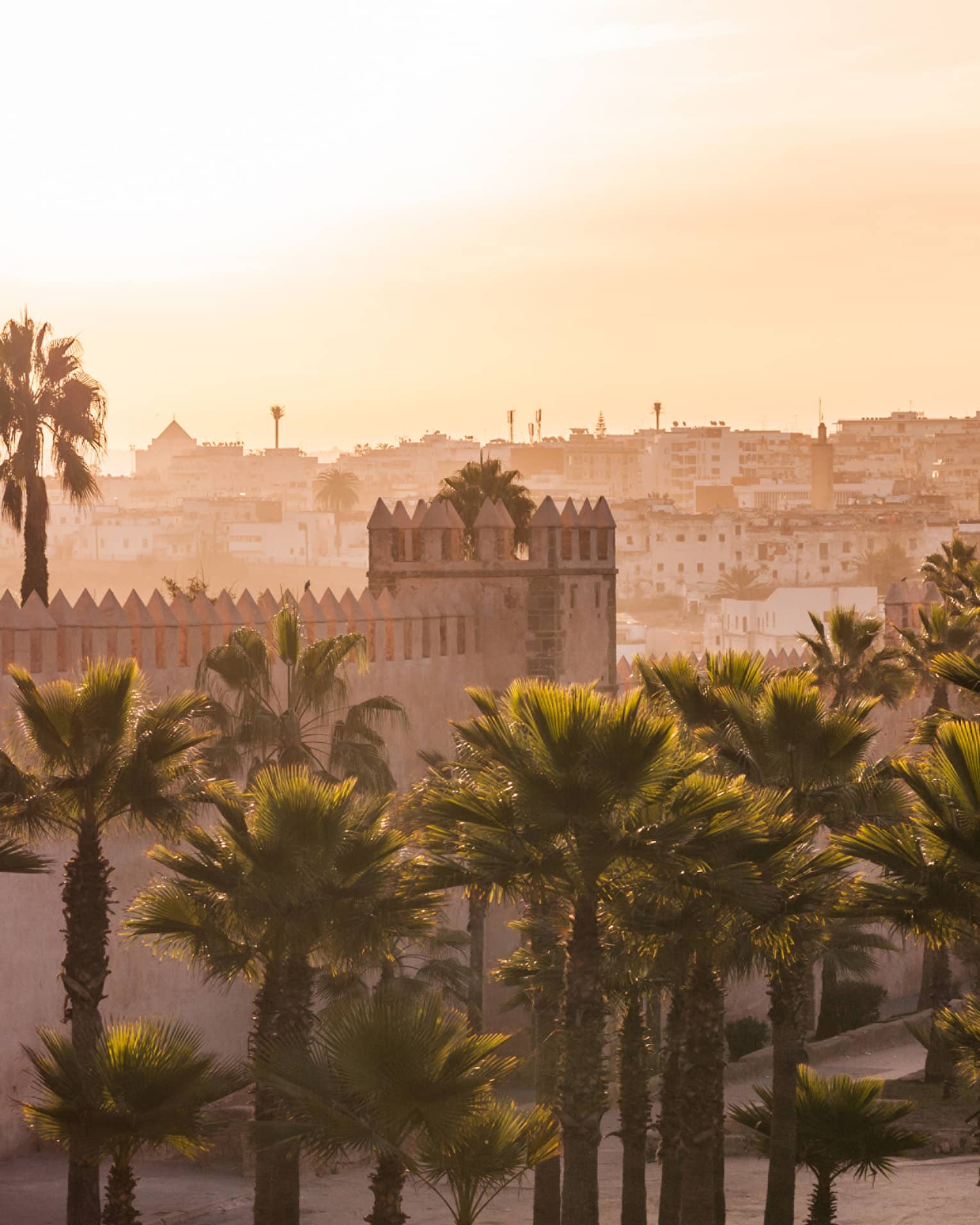 A stone city landscape in the hazy, warm glow of late-day sun, palm trees against a stone battlement in the foreground.