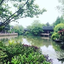Shrubs trees around West Lake, Four Seasons Hotel Hangzhou villas
