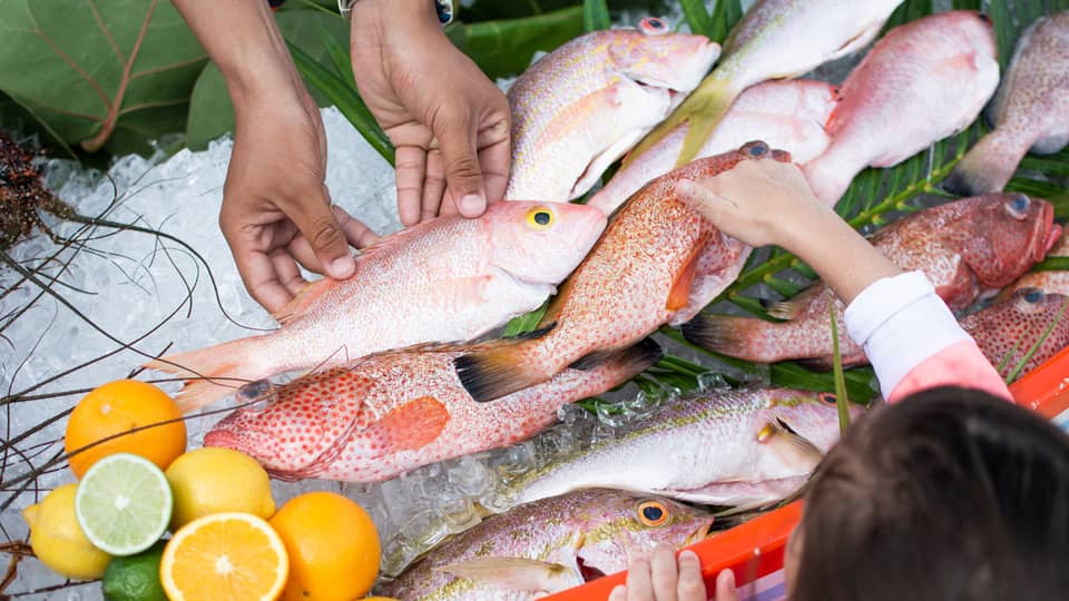 Hands reaching to select fresh fish displayed on ice, with lemons, oranges, limes and green leaves underneath