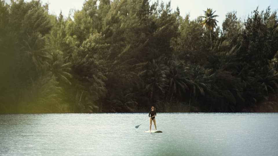 A person on a stand-up paddleboard on the water with lush trees in the background
