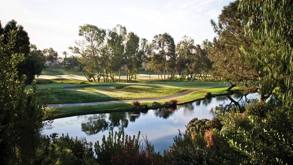 View of empty golf course green from across pond, bushes, on sunny day