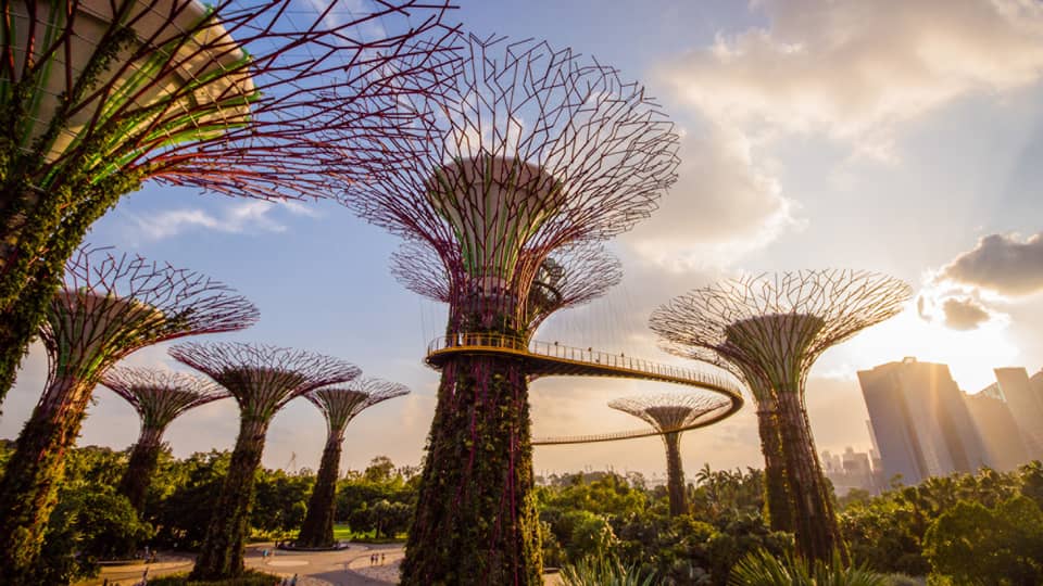 A view of modern art in Gardens by the Bay in singapore