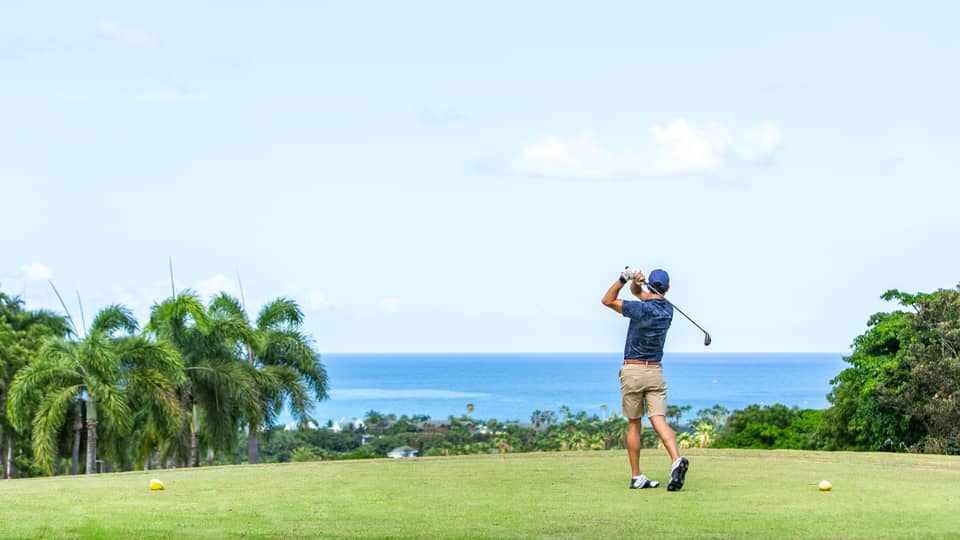 ,A man playing gold near palm trees and and ocean.