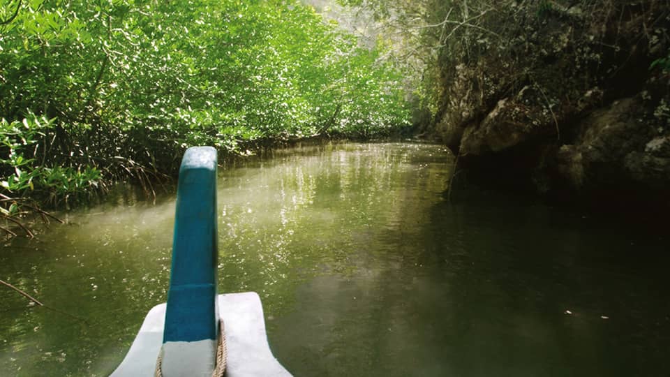 A boat overlooks the mangroves in Langkawi on the river