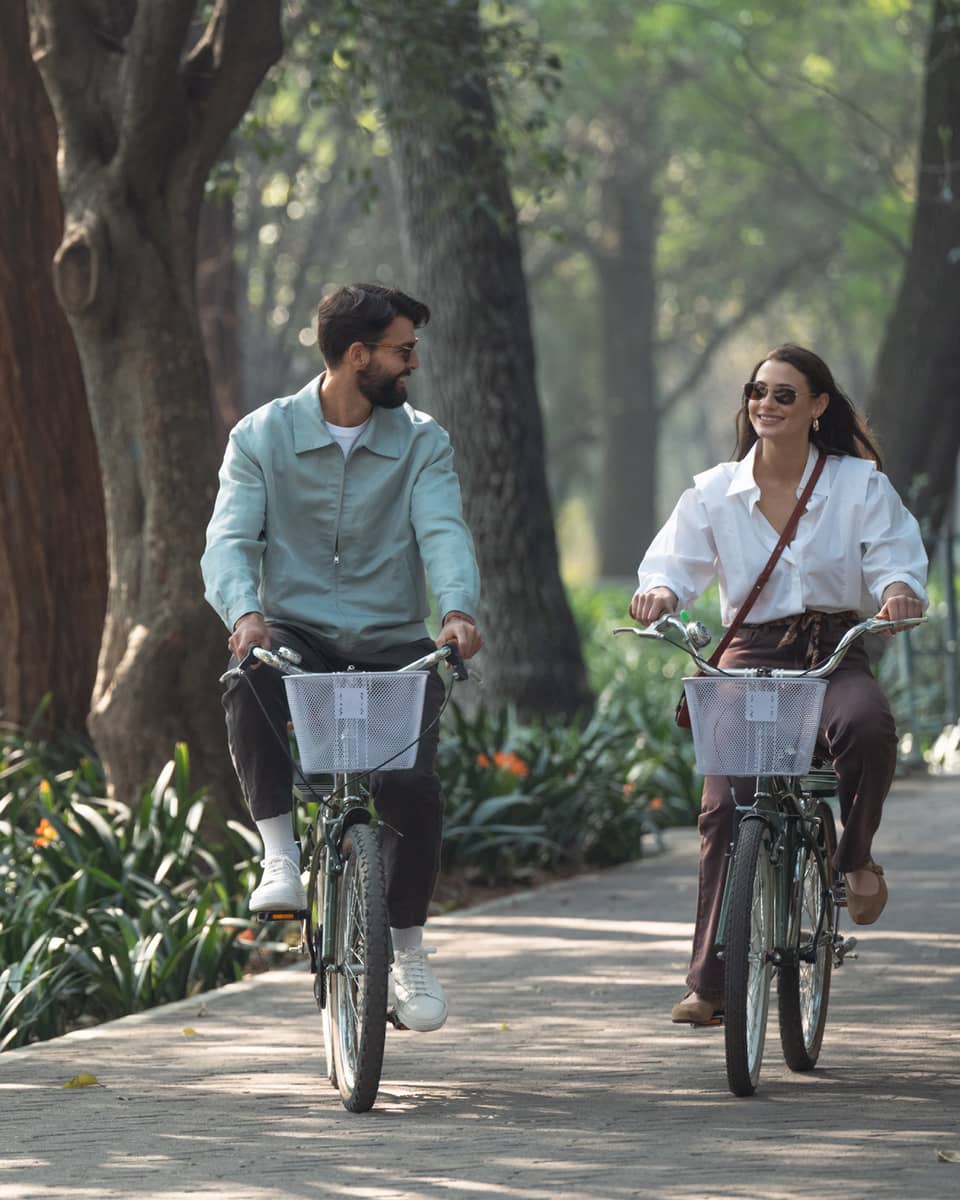 Two people ride bicycles down a tree-lined street.