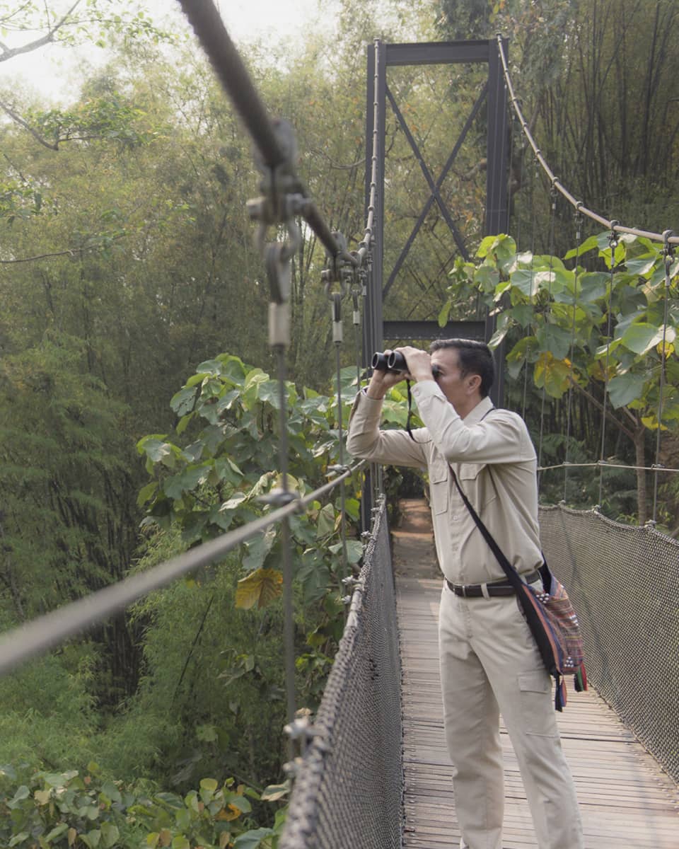 Person observing jungle from suspension bridge with binoculars and traditional bag