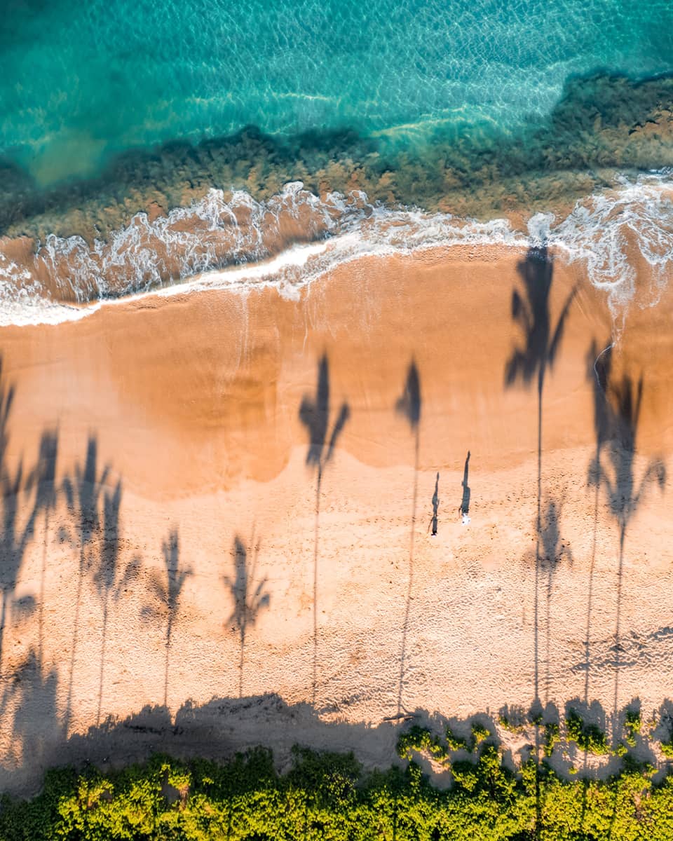 Aerial view of tropical beach