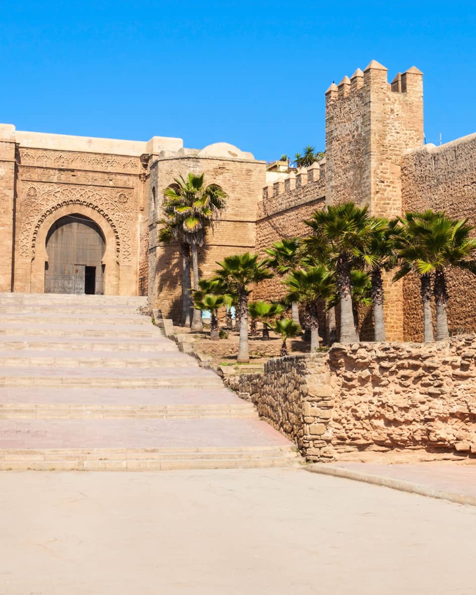 Wide stone steps flanked by palms lead up to a sprawling castle-like building with a massive arched entrance and battlements.